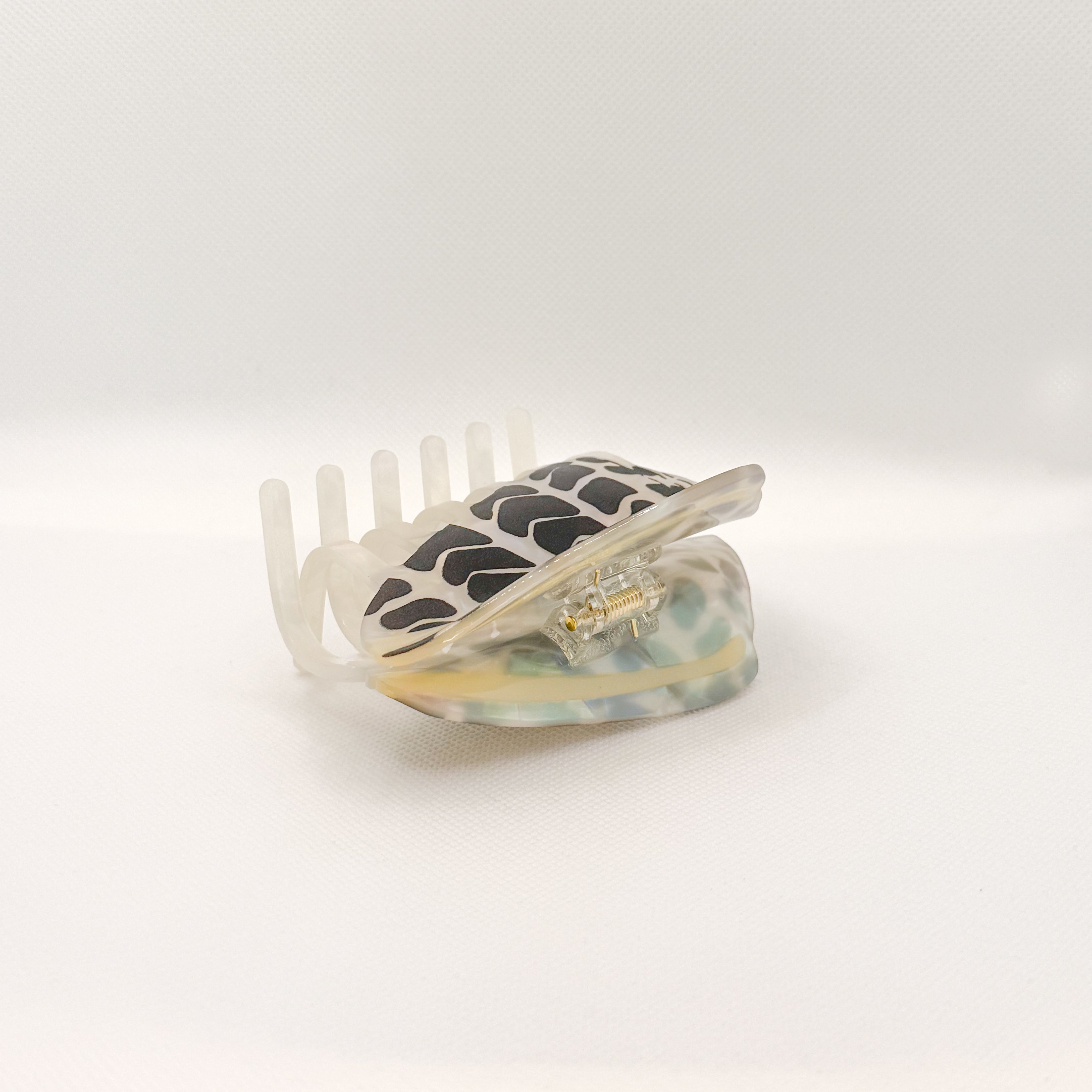 hebrew cone shell hair claw