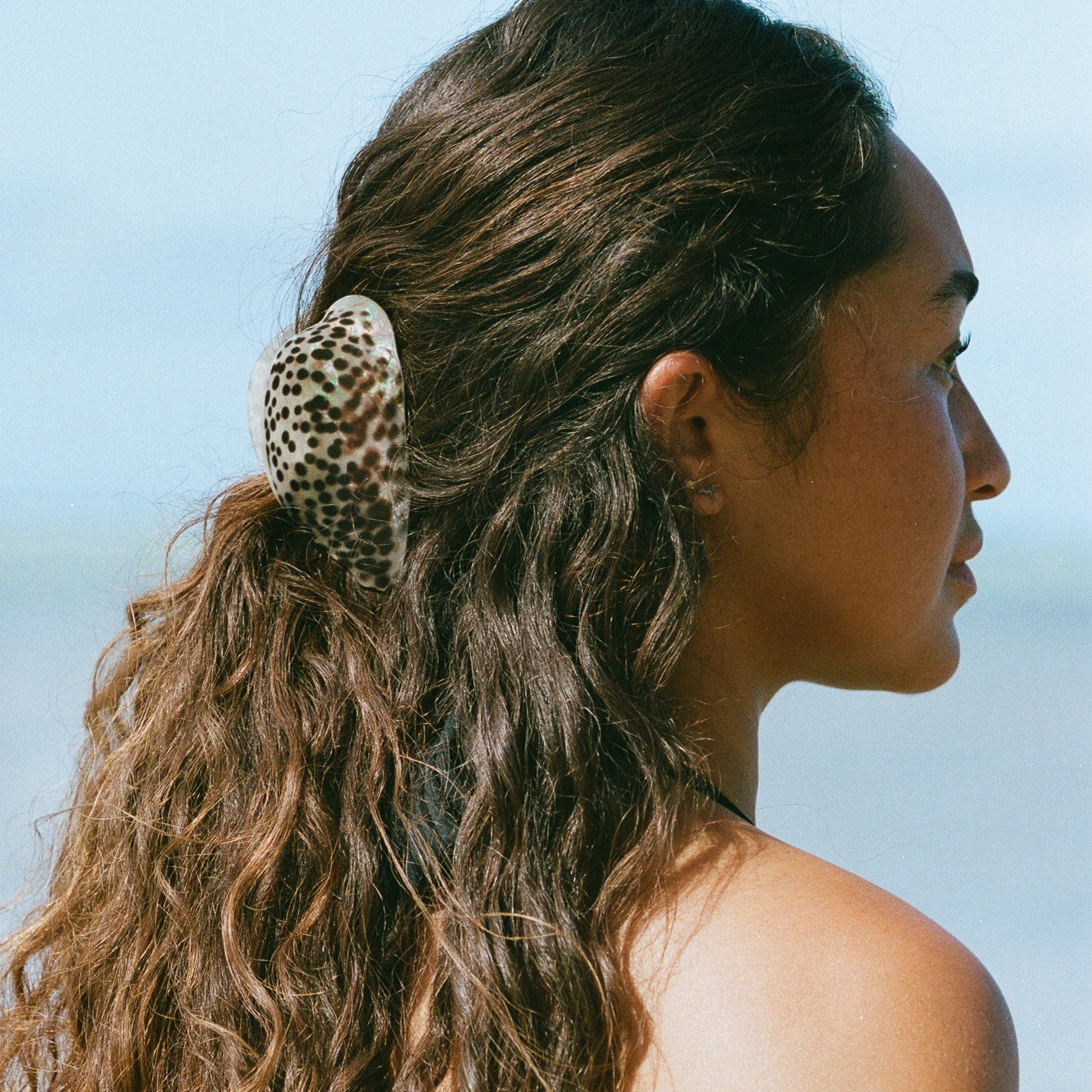 medium “leho” cowry shell hair claw