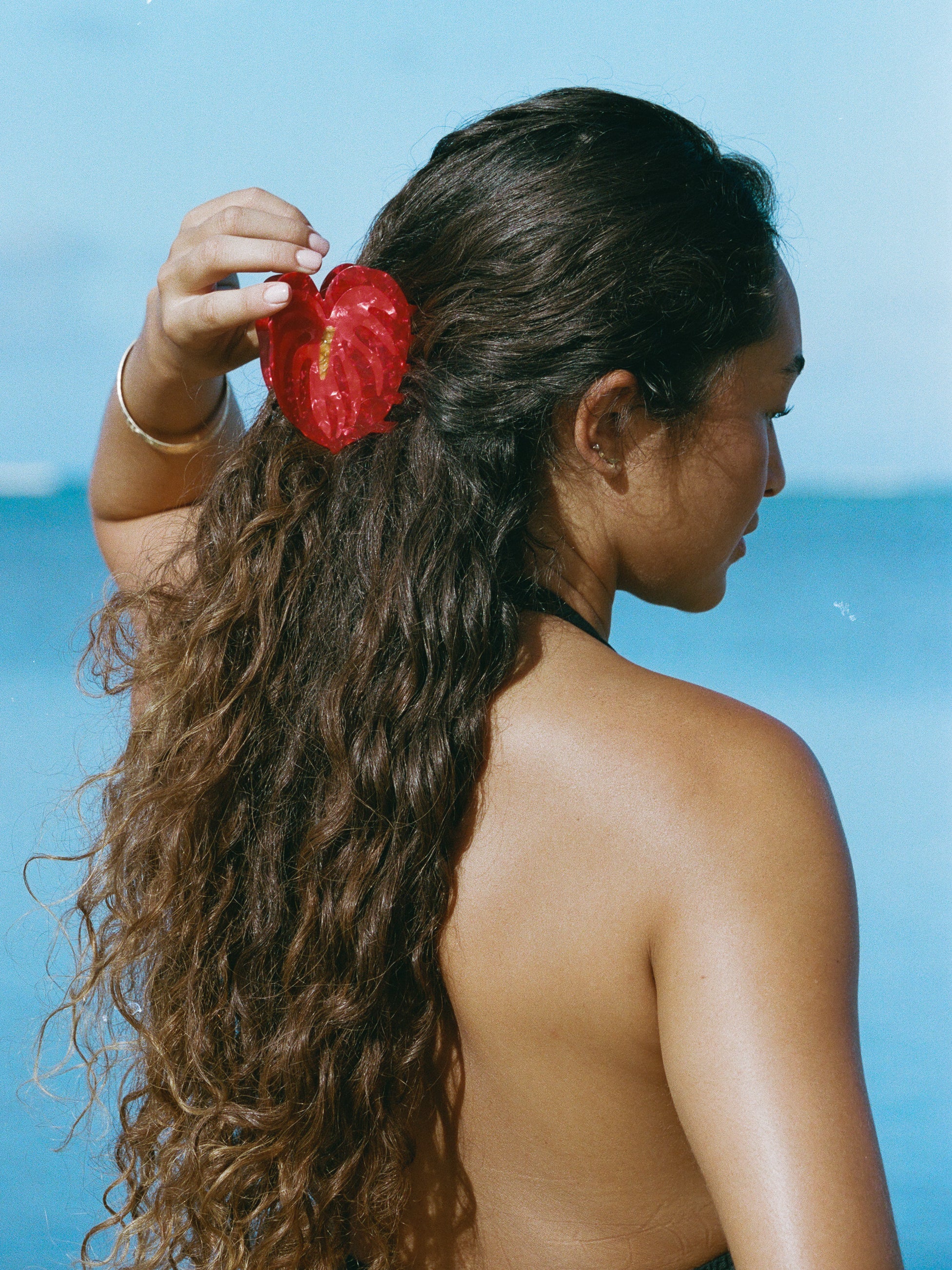 red anthurium hair claw