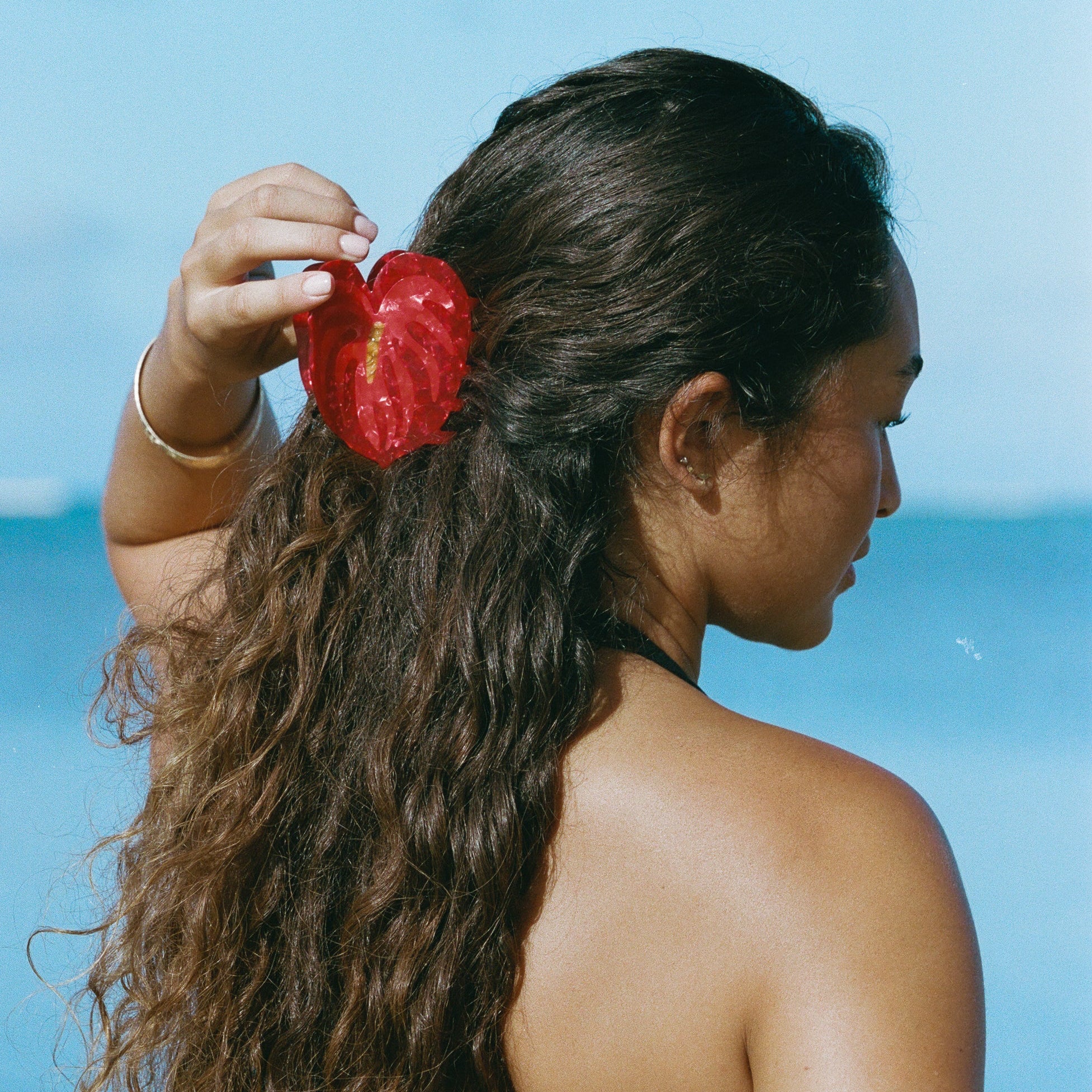 red anthurium hair claw