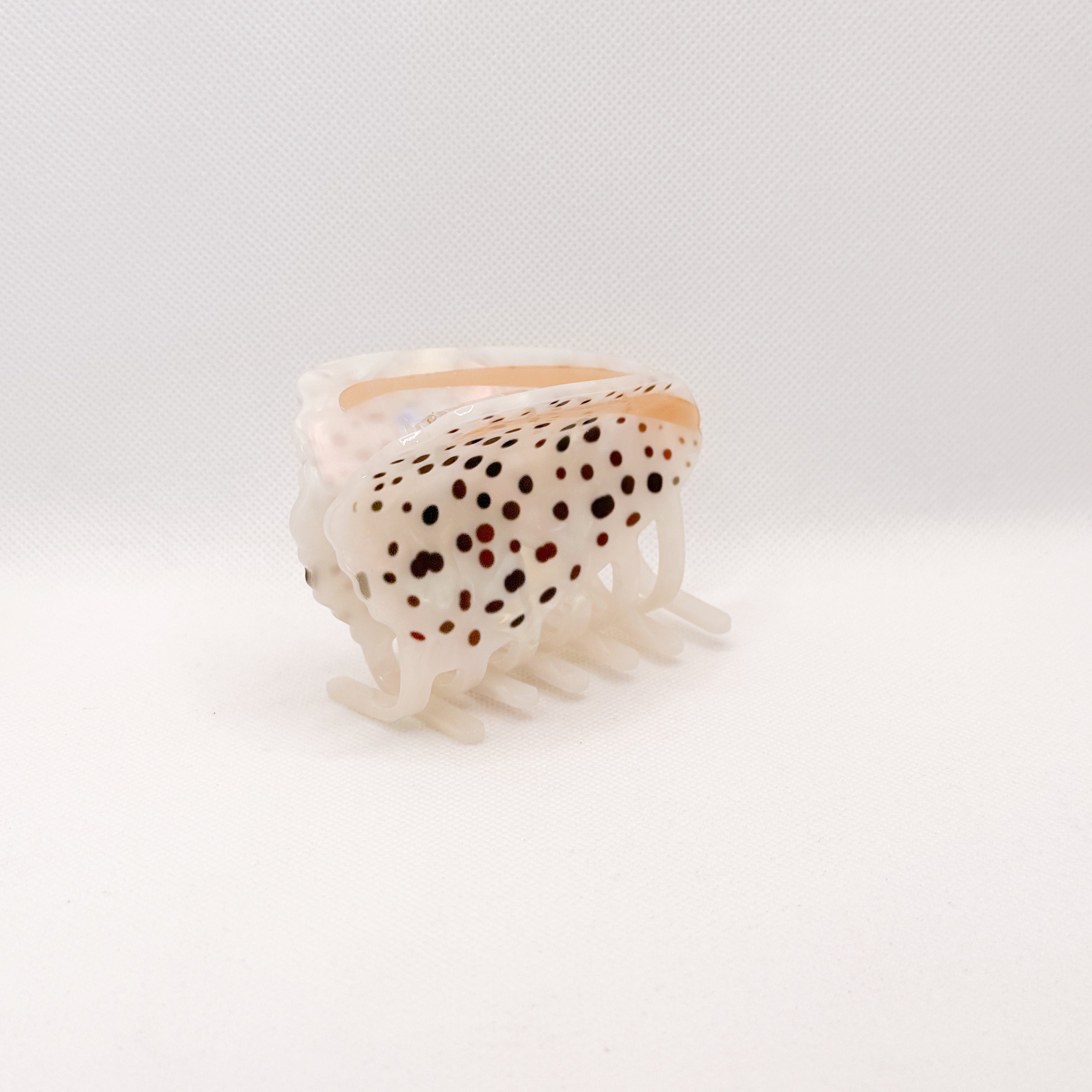 ivory cone shell hair claw