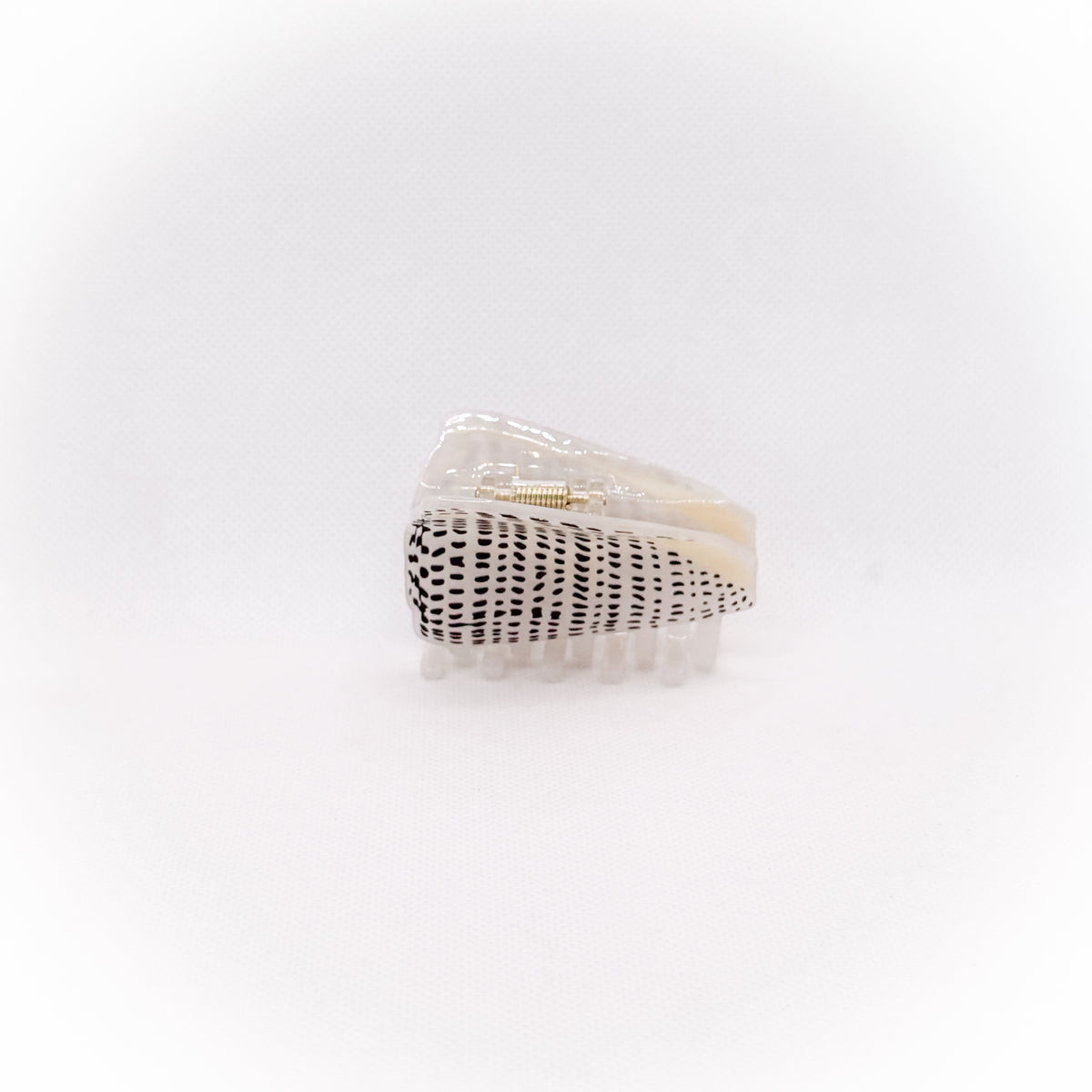 small flea cone shell hair claw