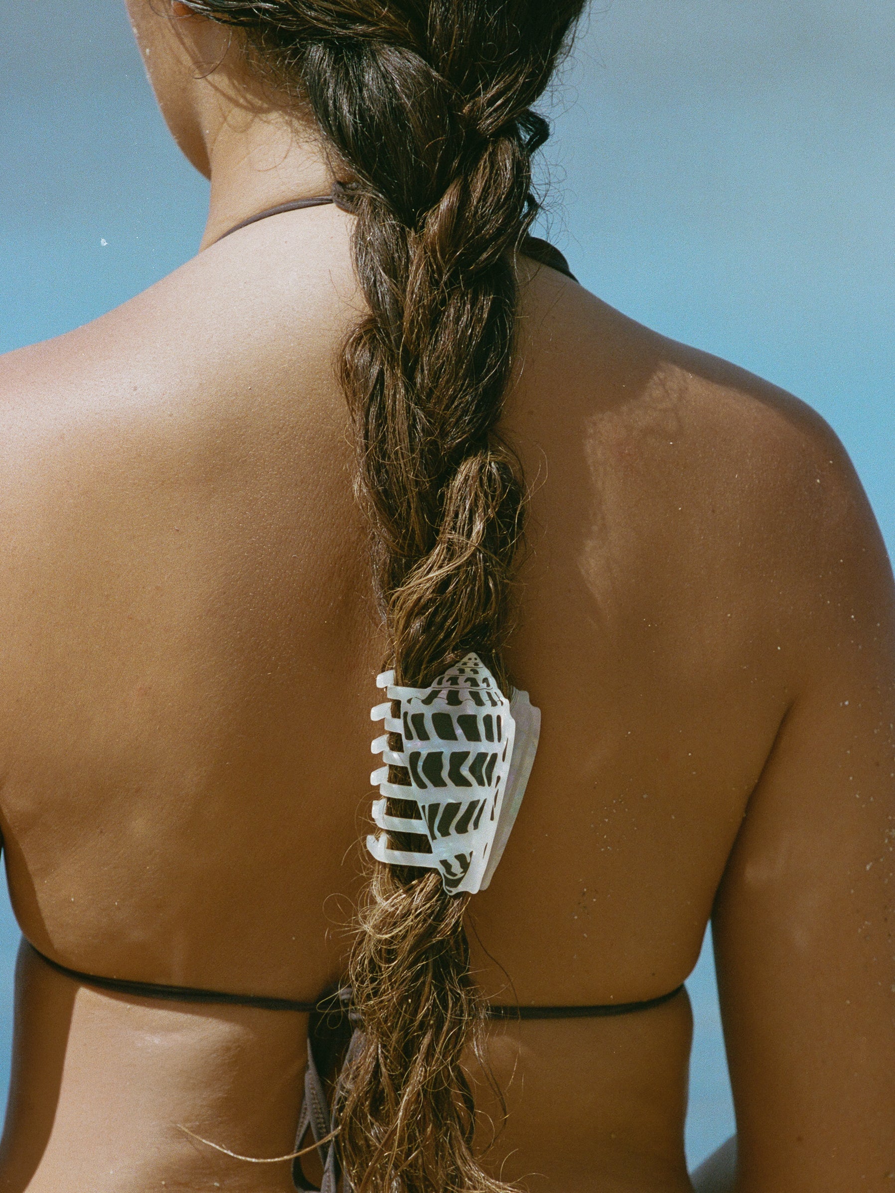 hebrew cone shell hair claw