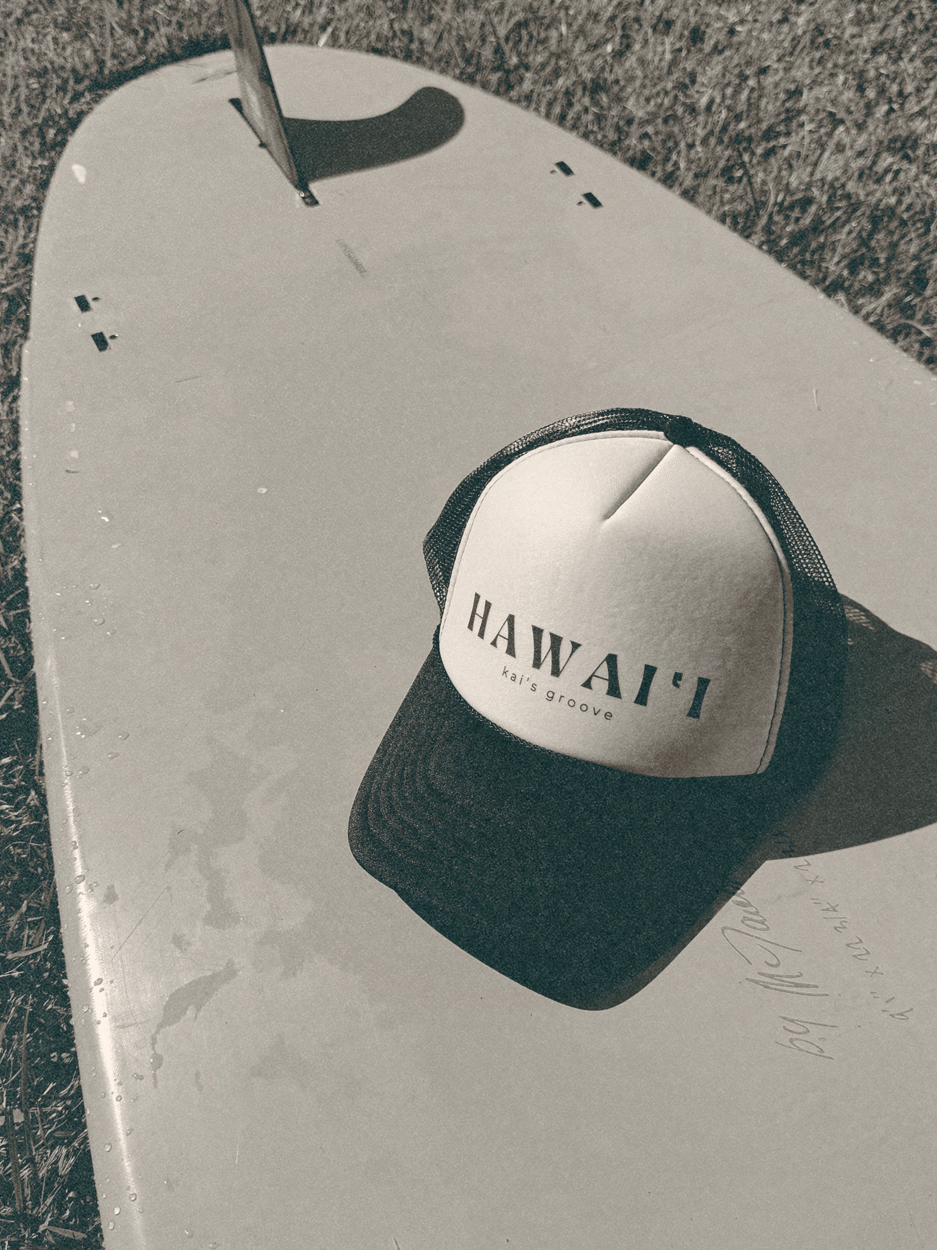 HAWAI’I khaki/brown trucker hat