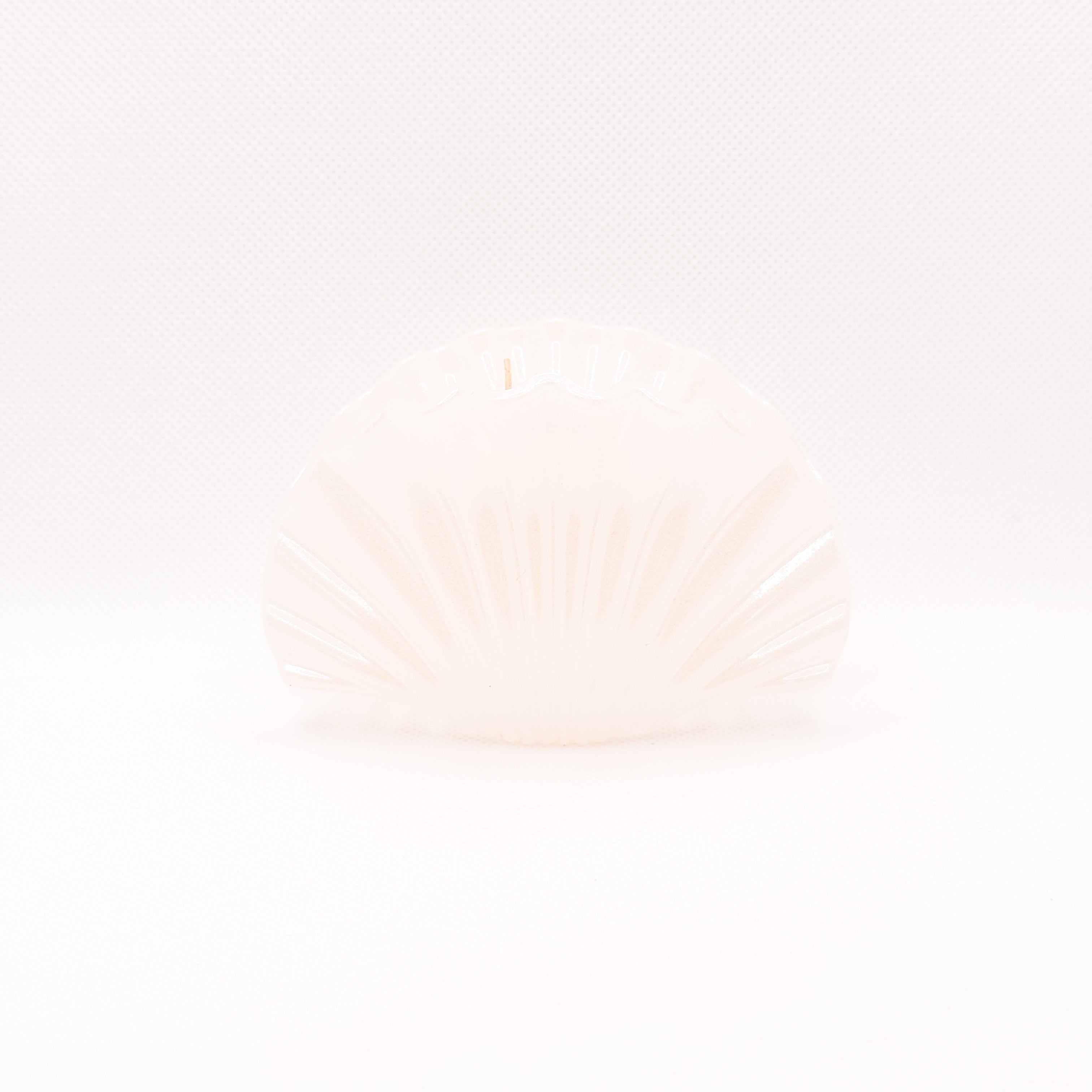 jumbo pearly shell hair clip