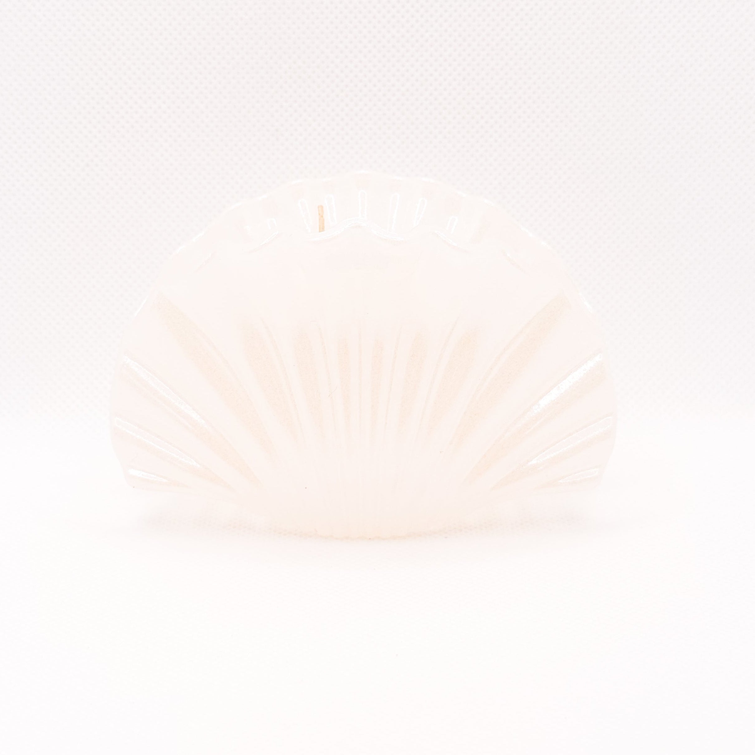jumbo pearly shell hair clip