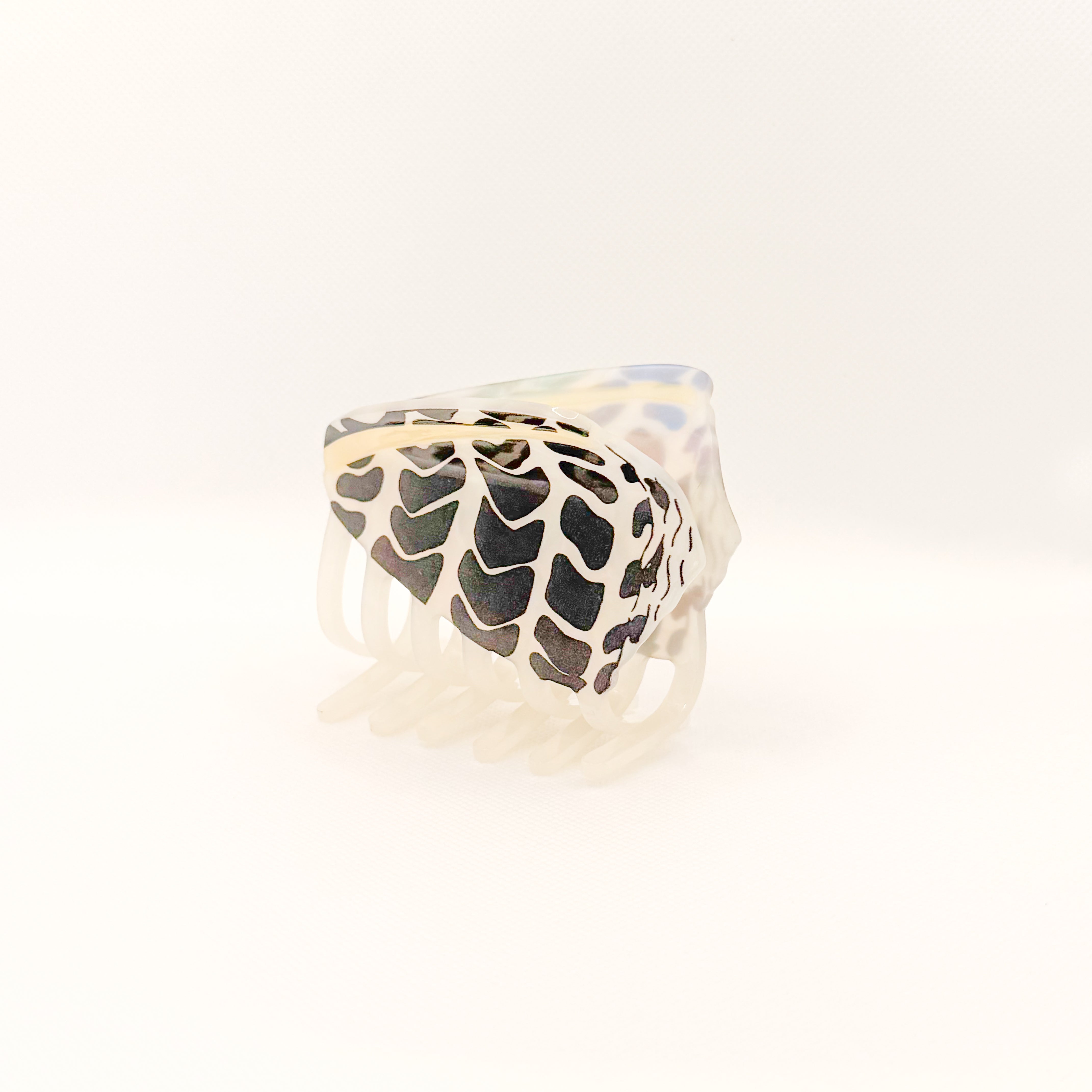 hebrew cone shell hair claw
