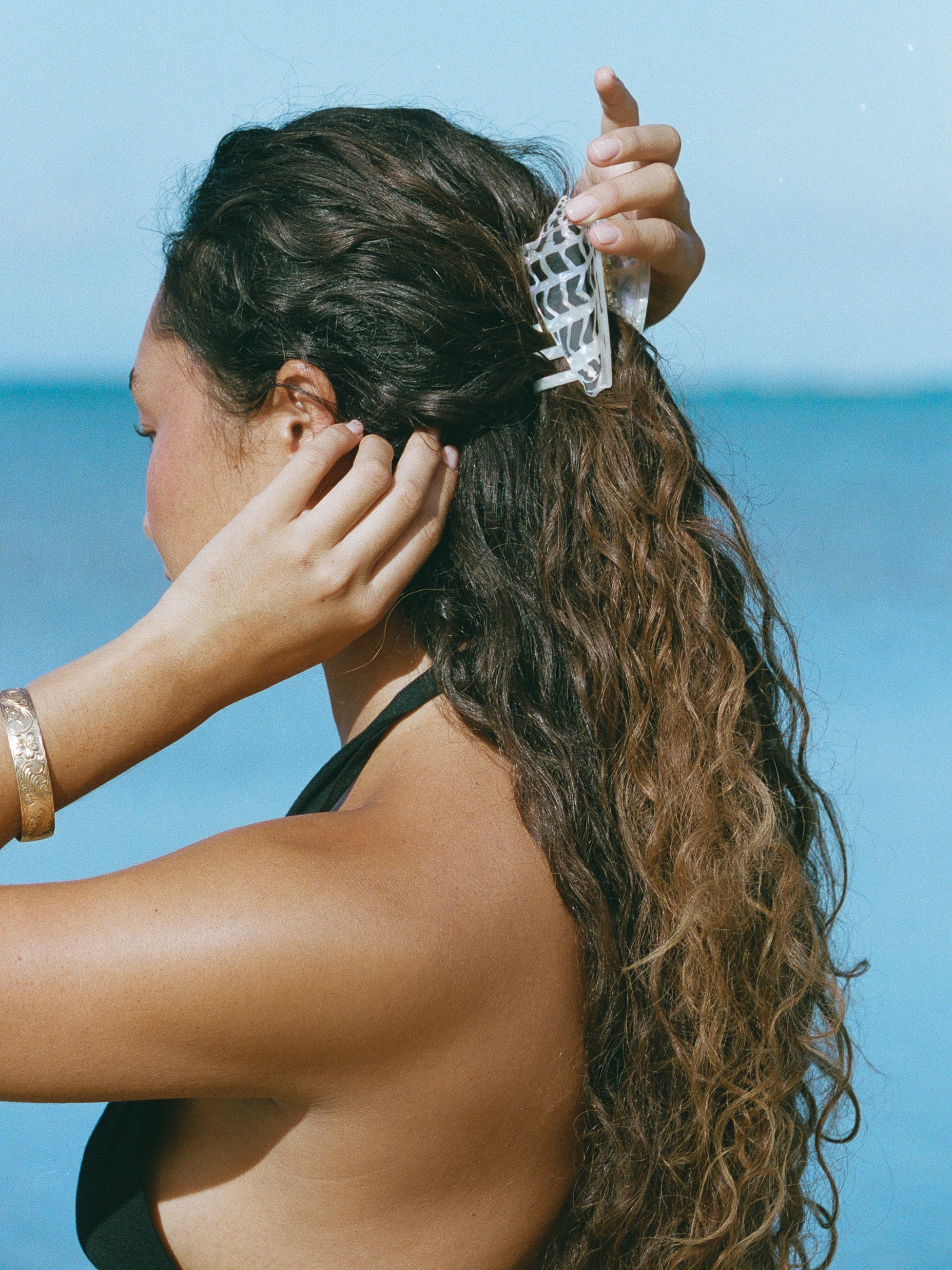 hebrew cone shell hair claw