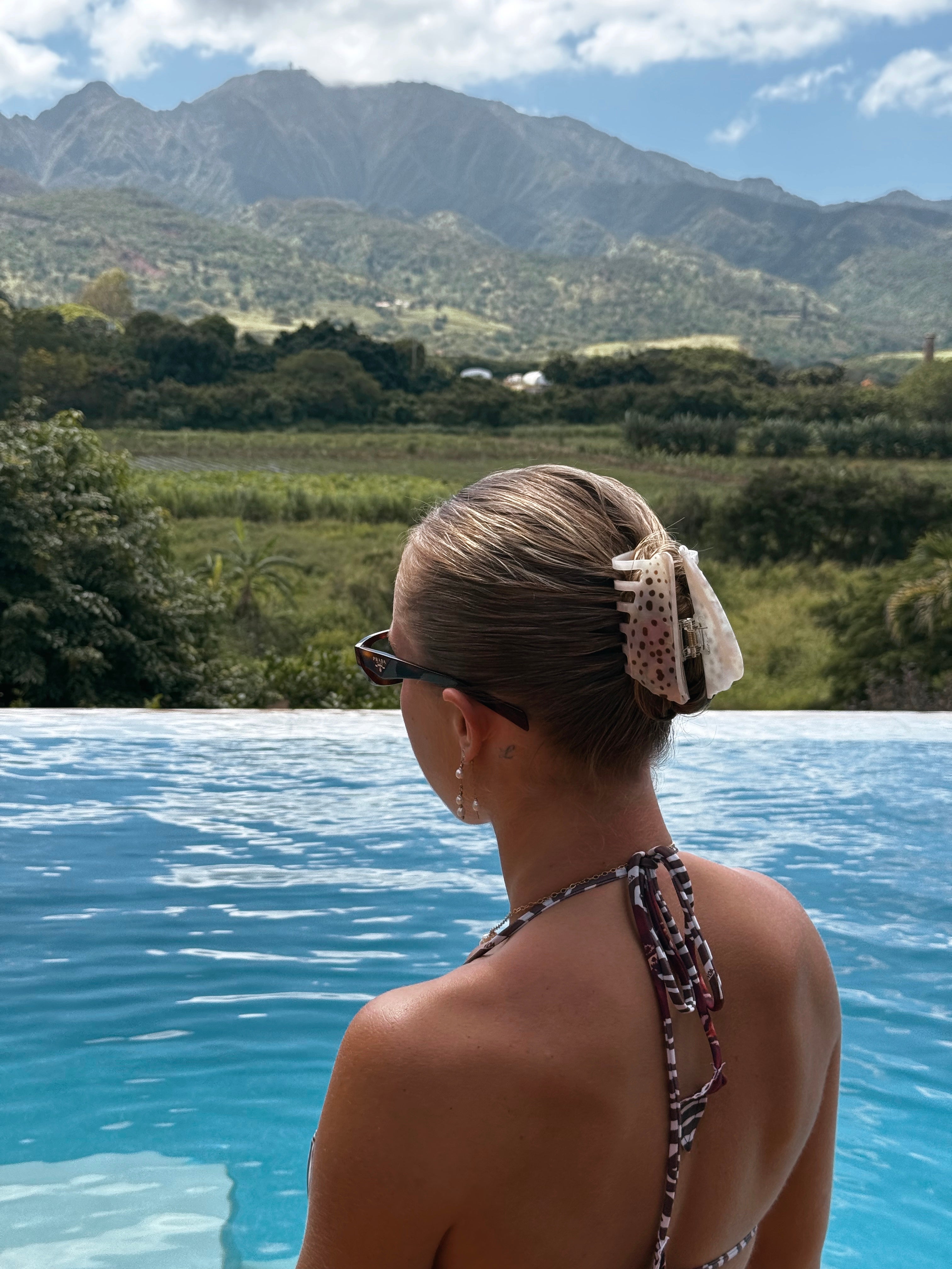 ivory cone shell hair claw