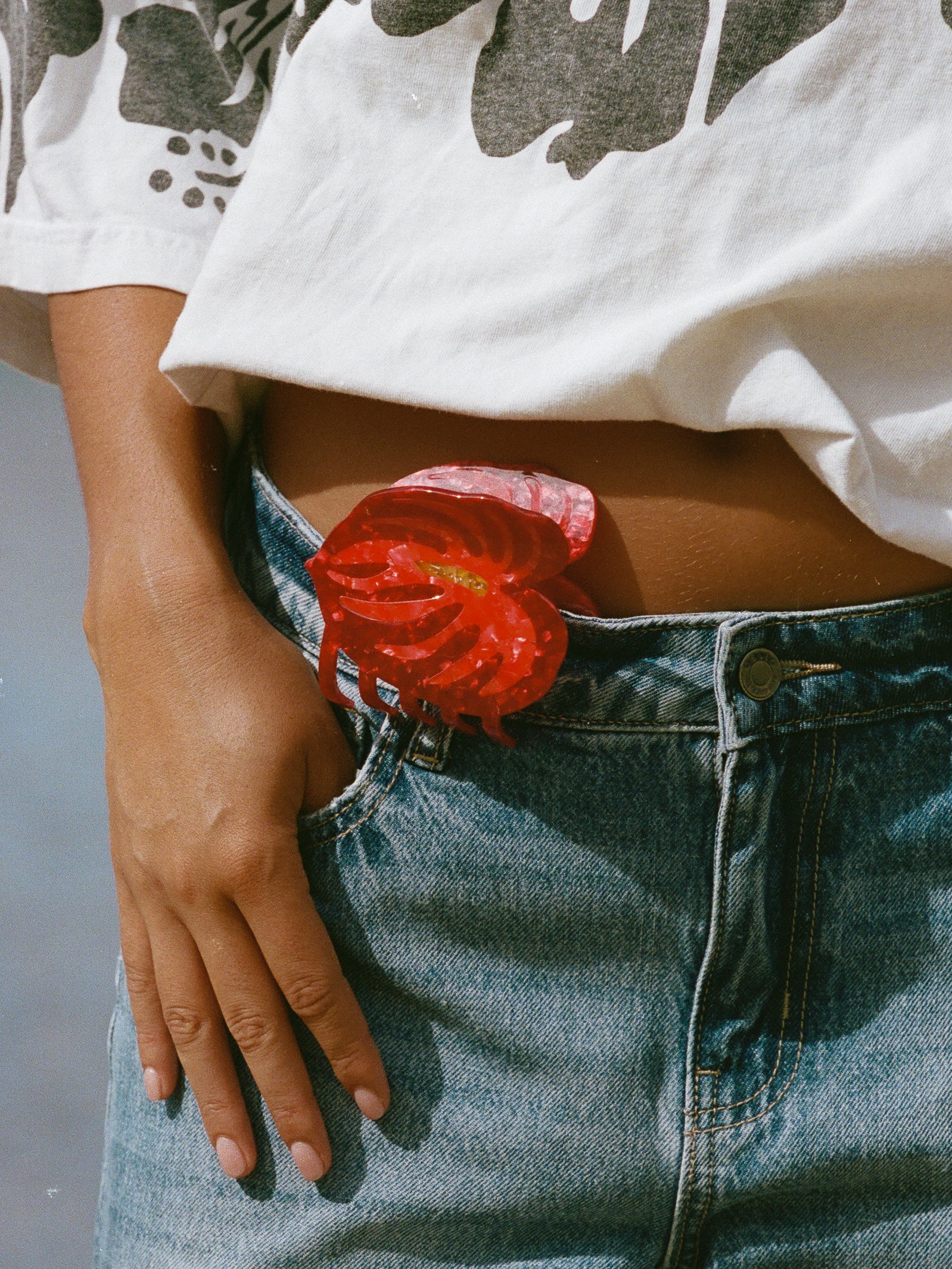 red anthurium hair claw