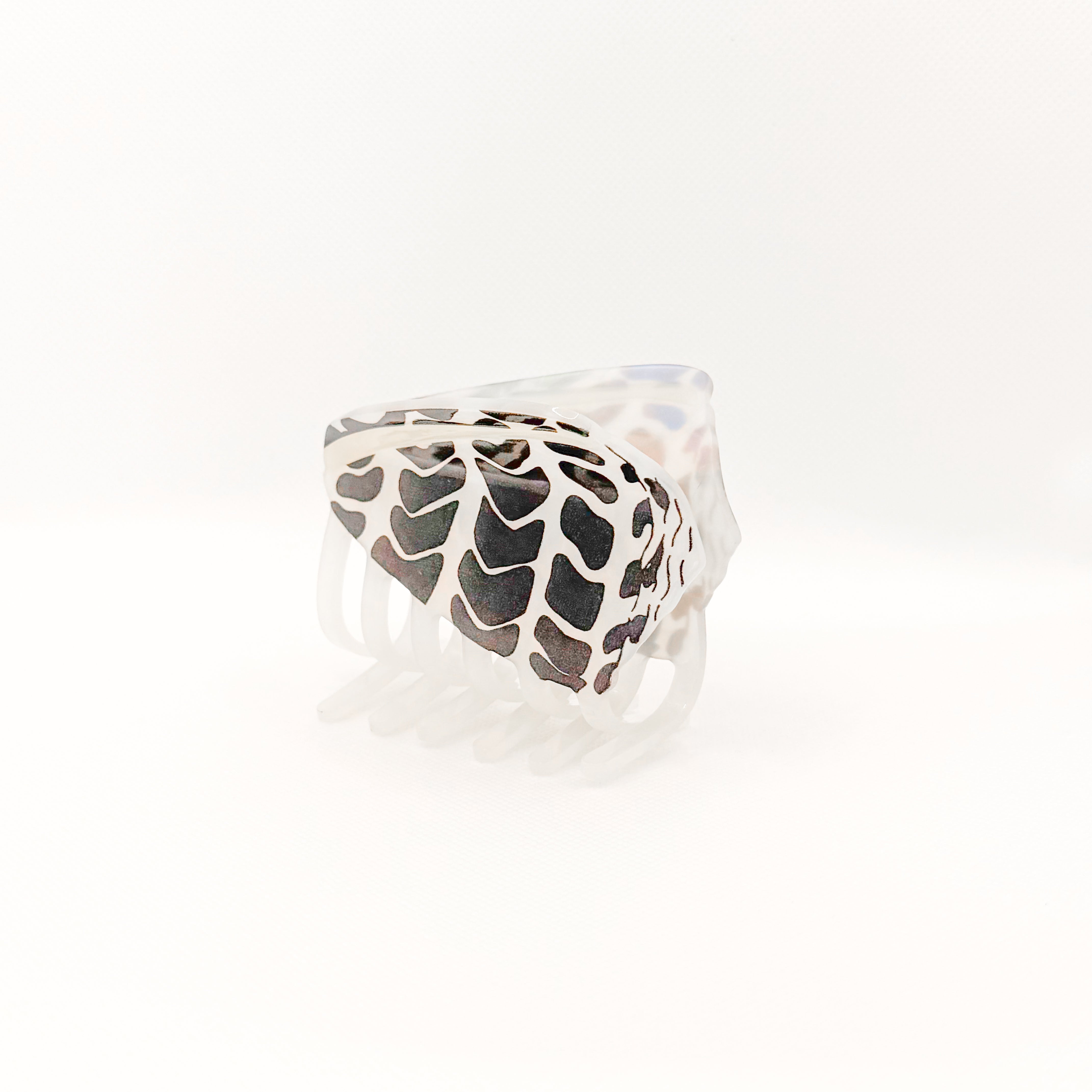 hebrew cone shell hair claw