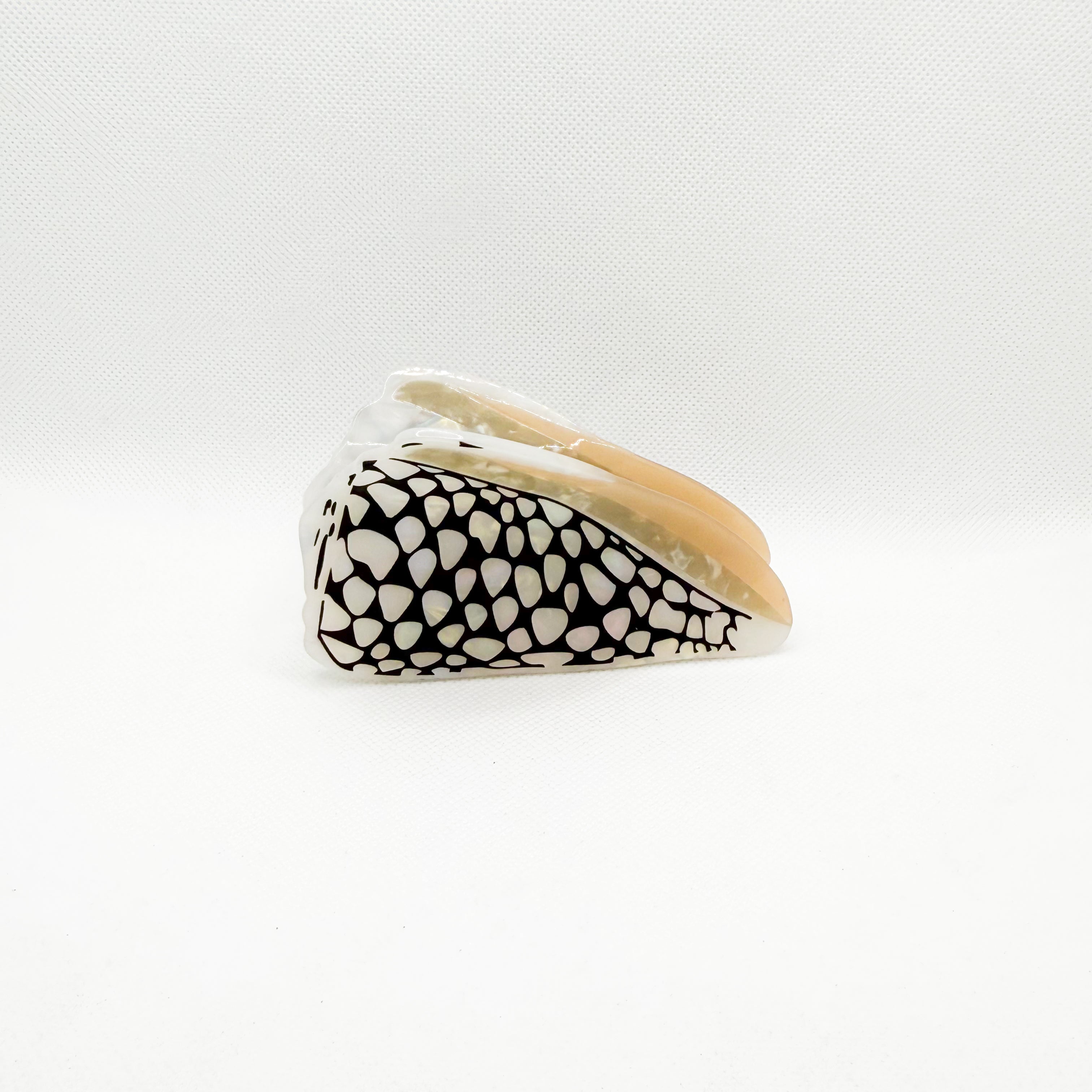 marble black cone shell hair claw