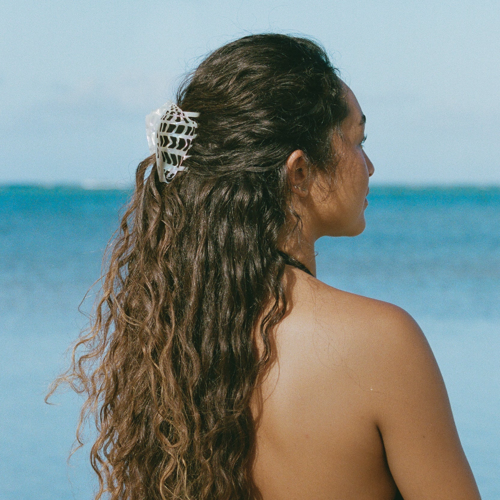 hebrew cone shell hair claw