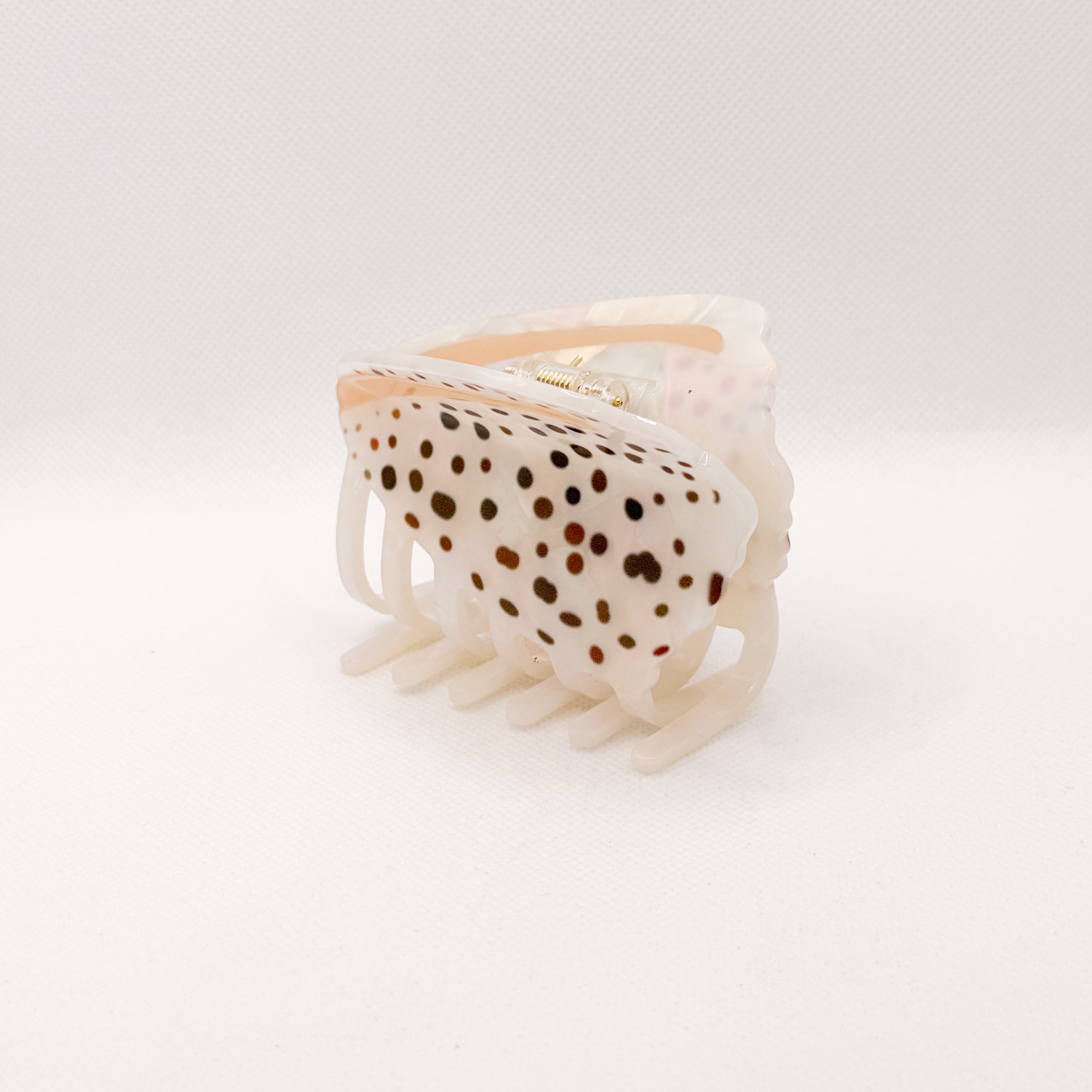 ivory cone shell hair claw