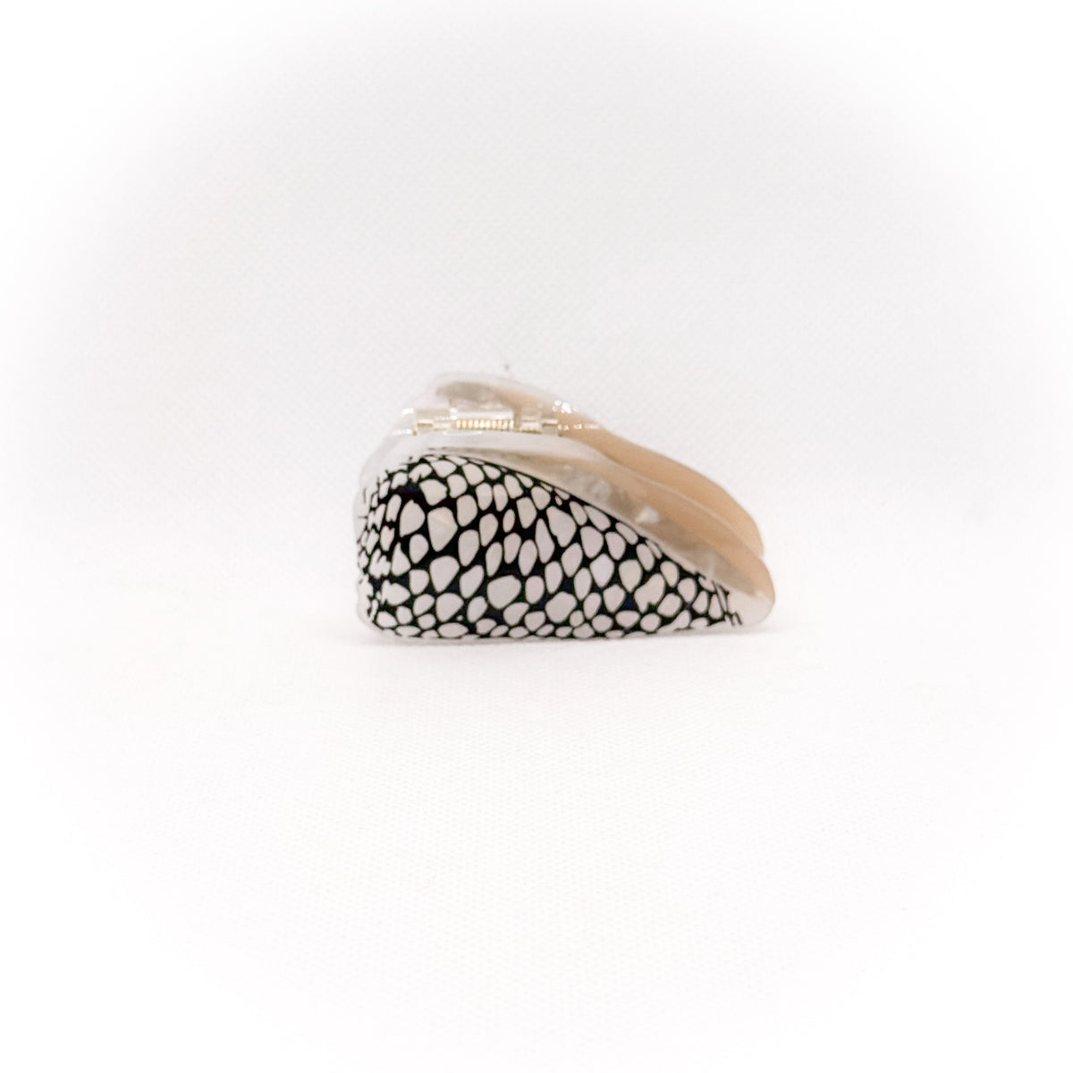 small marble black cone shell hair claw