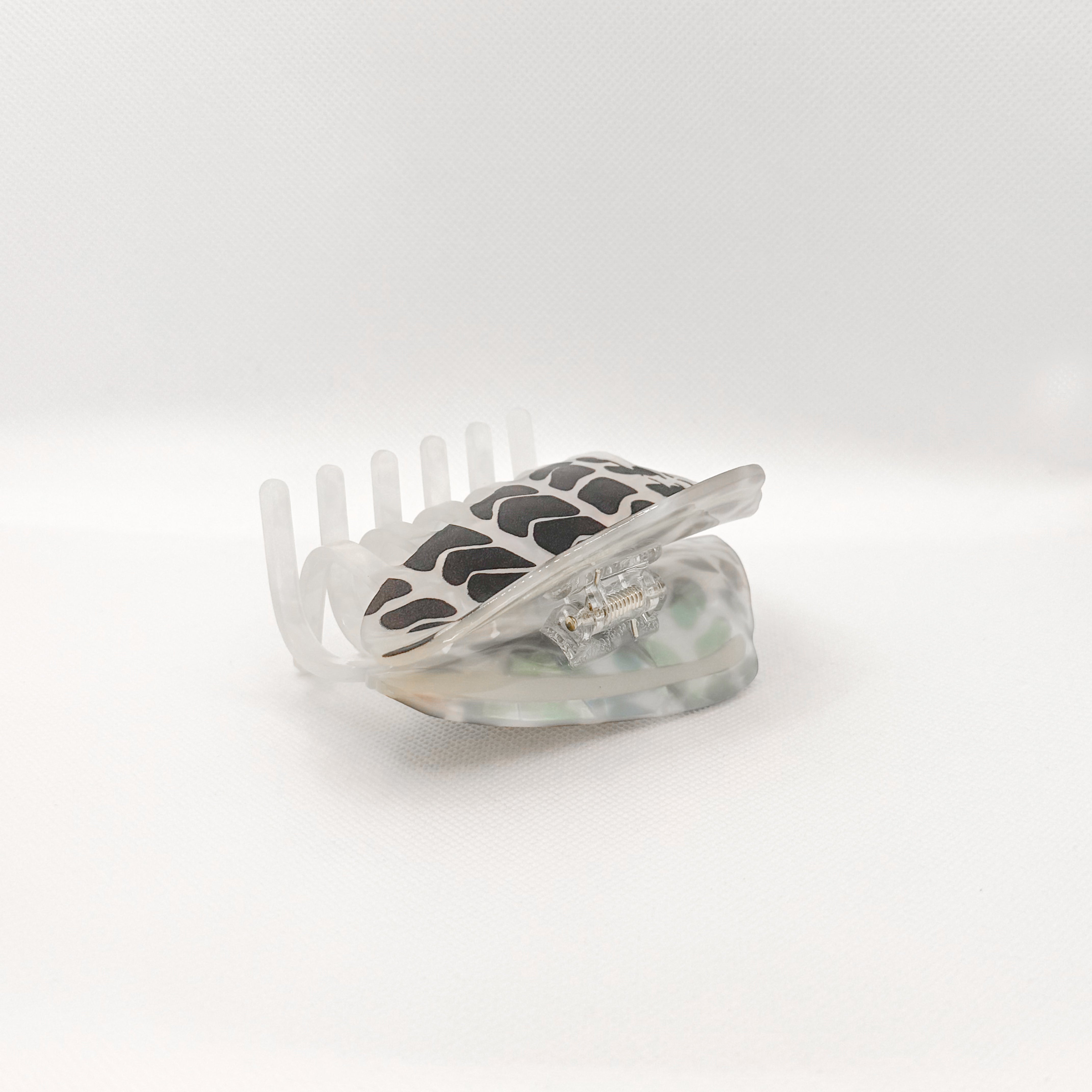 hebrew cone shell hair claw