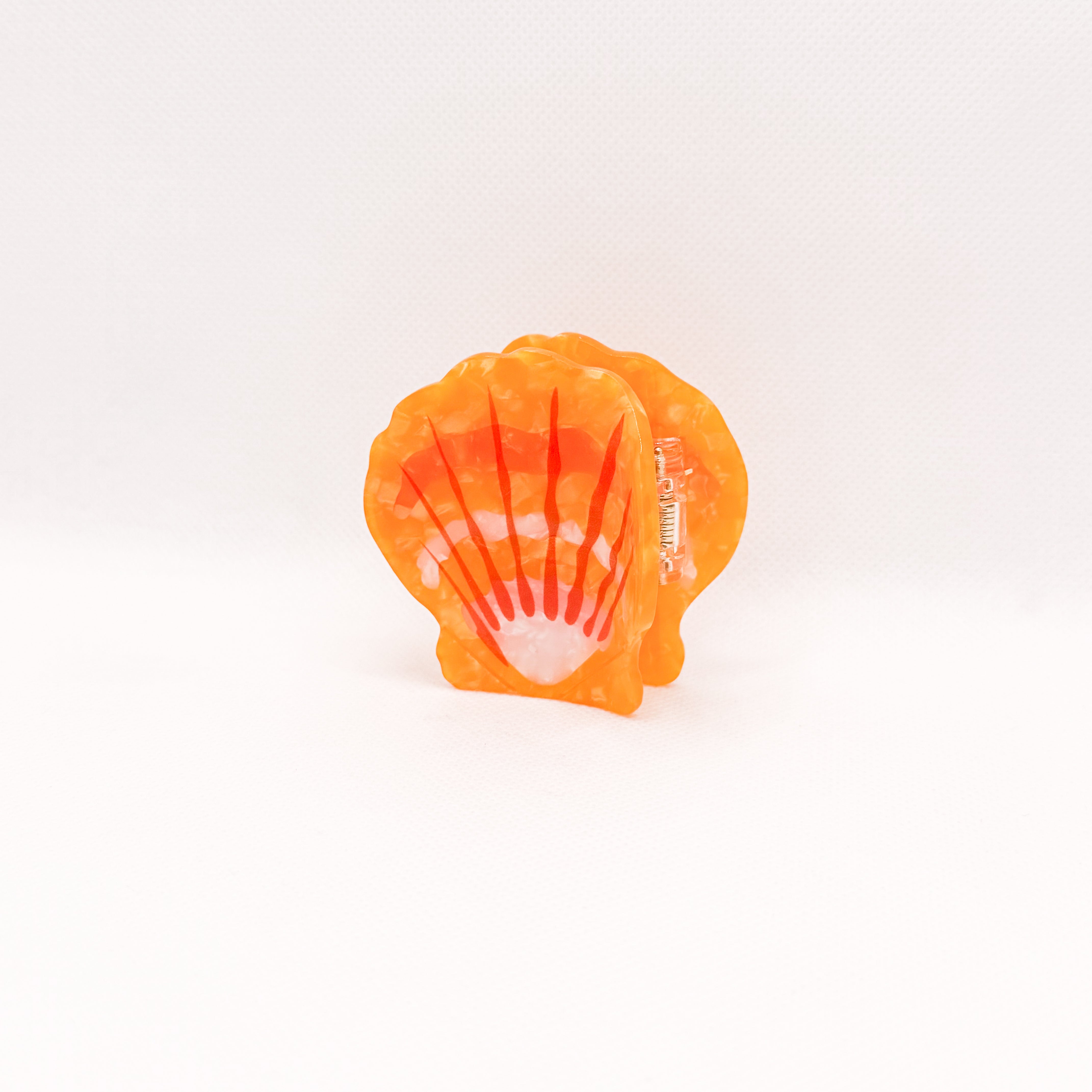 small sunrise shell hair claw
