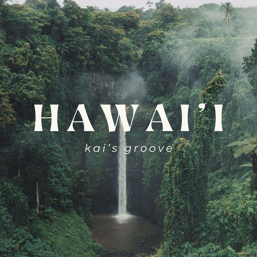 HAWAI’I khaki/brown trucker hat