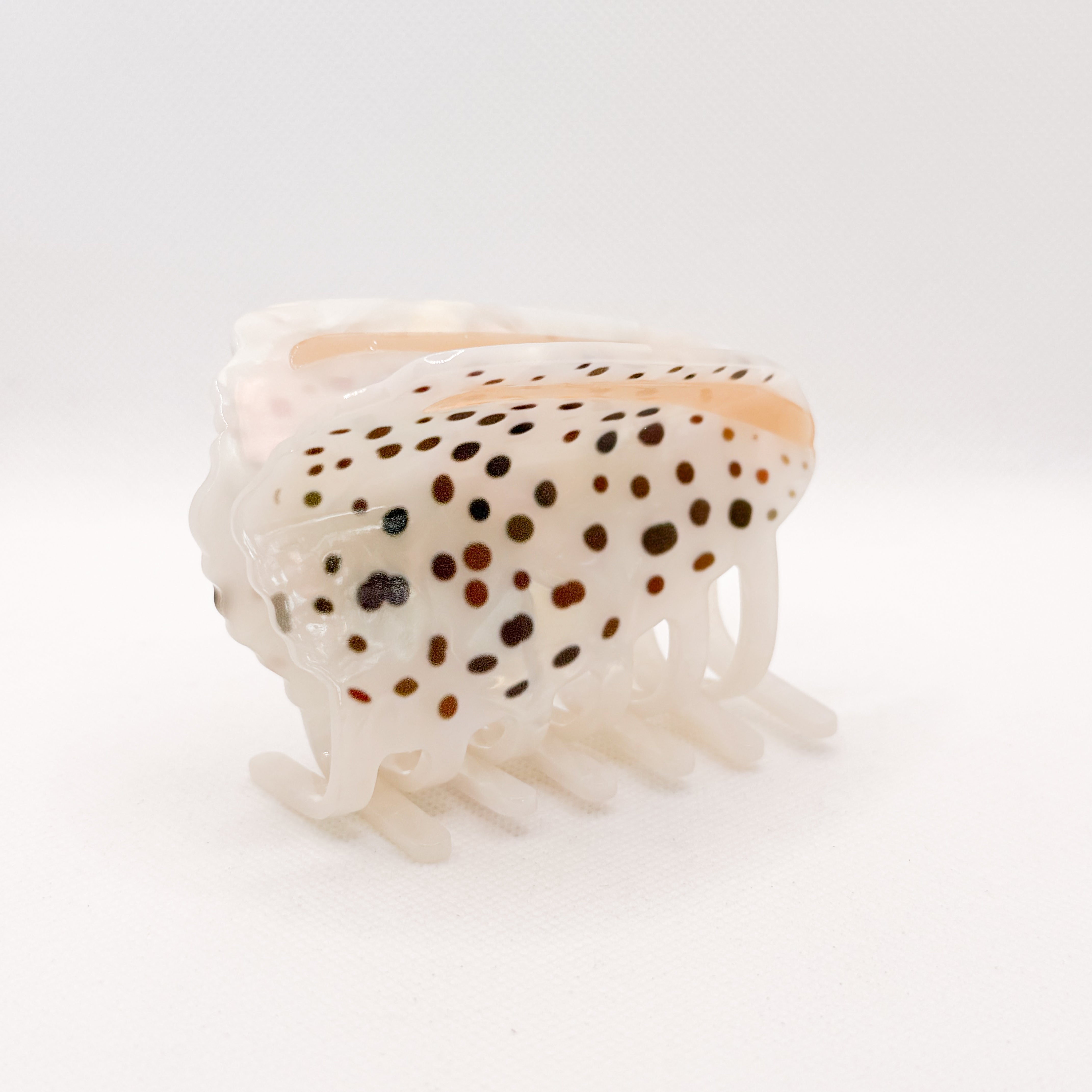 ivory cone shell hair claw
