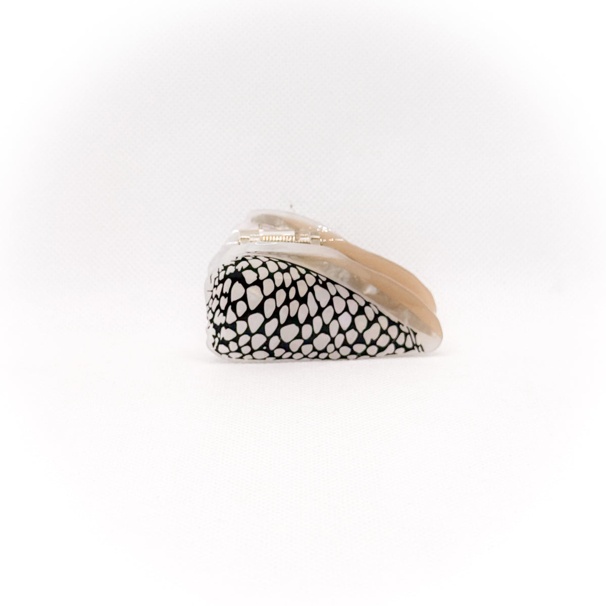 small marble black cone shell hair claw