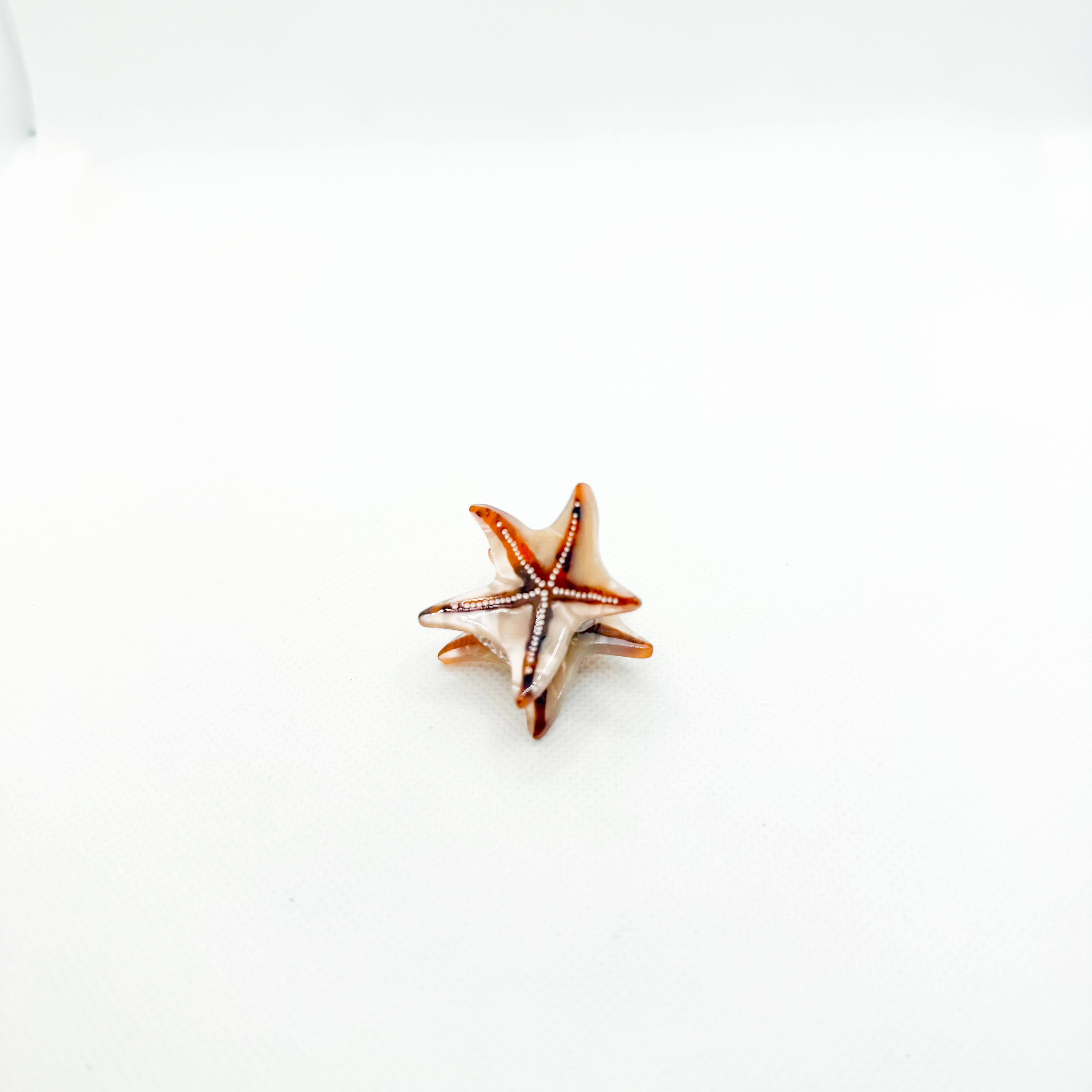 mini brown starfish hair clip
