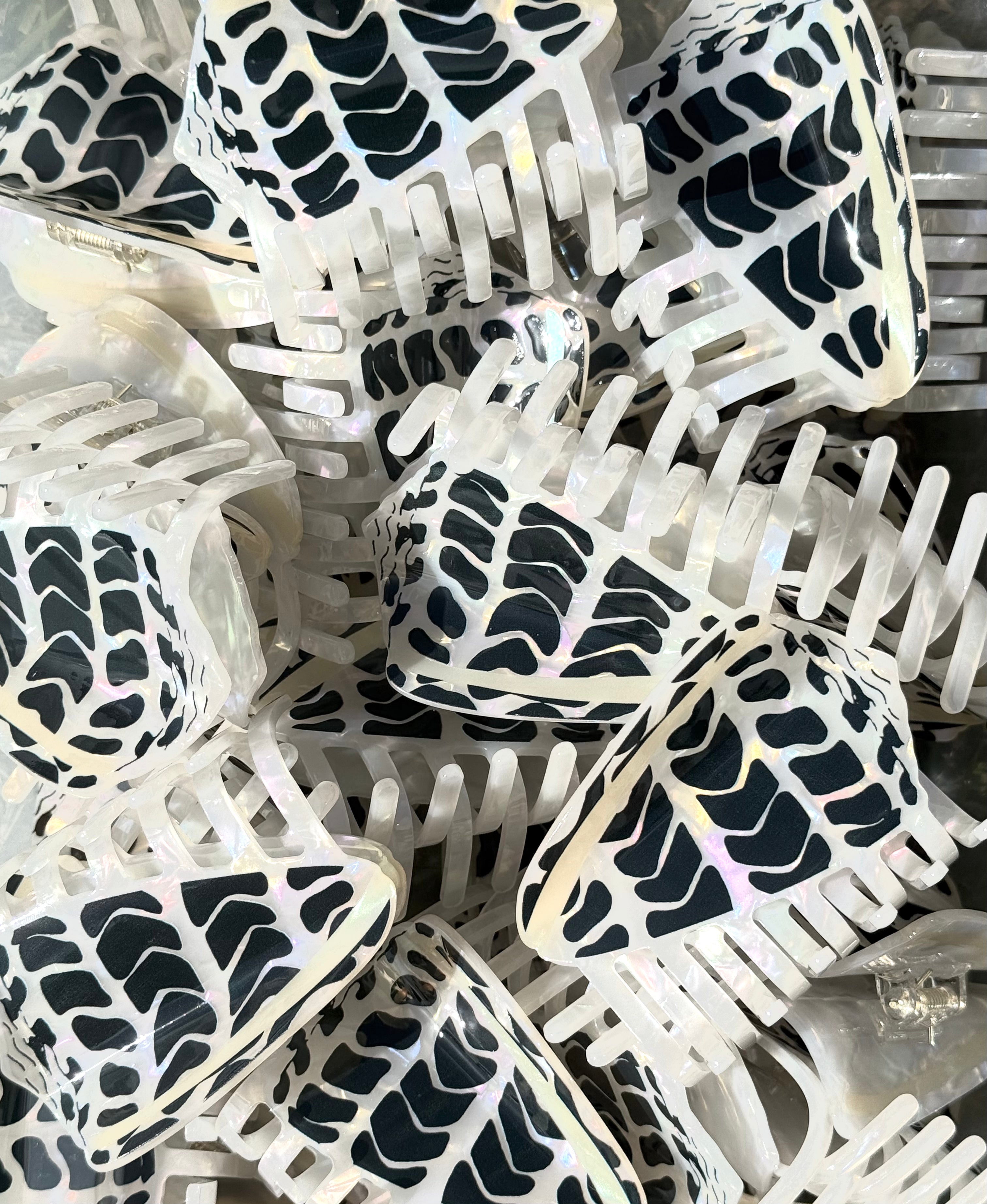 hebrew cone shell hair claw