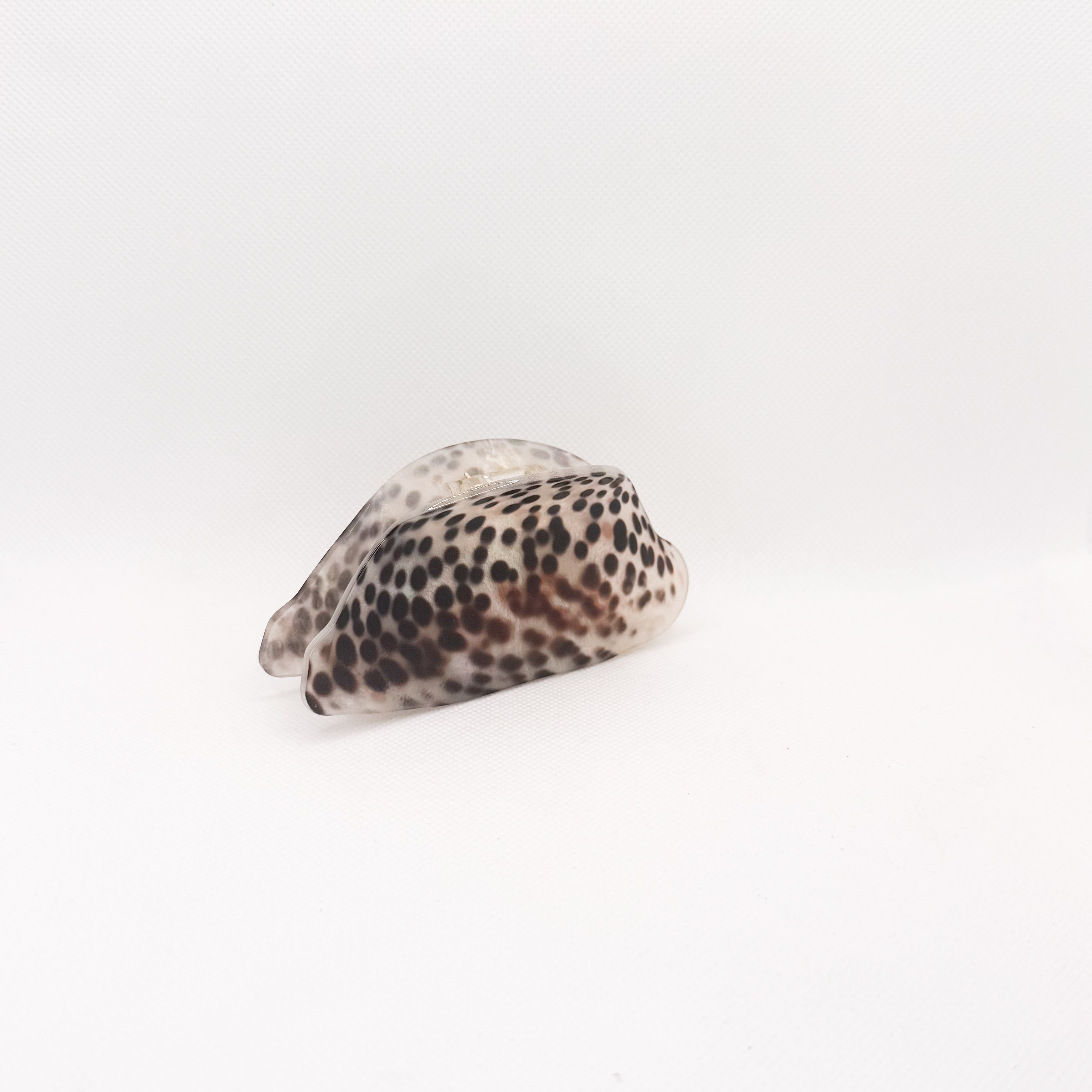 “leho” cowry shell hair claw