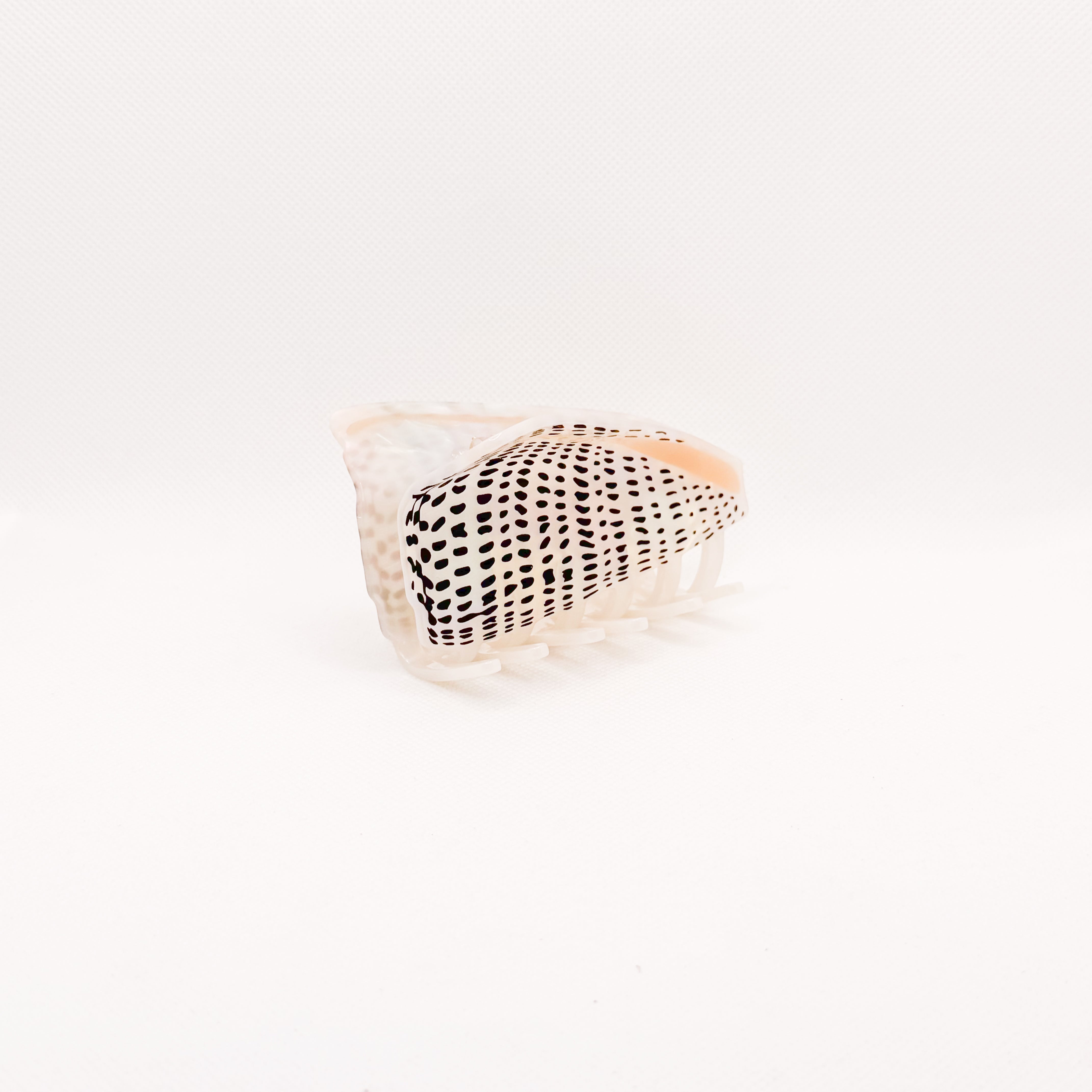 *new pre-order* leopard cone shell hair claw