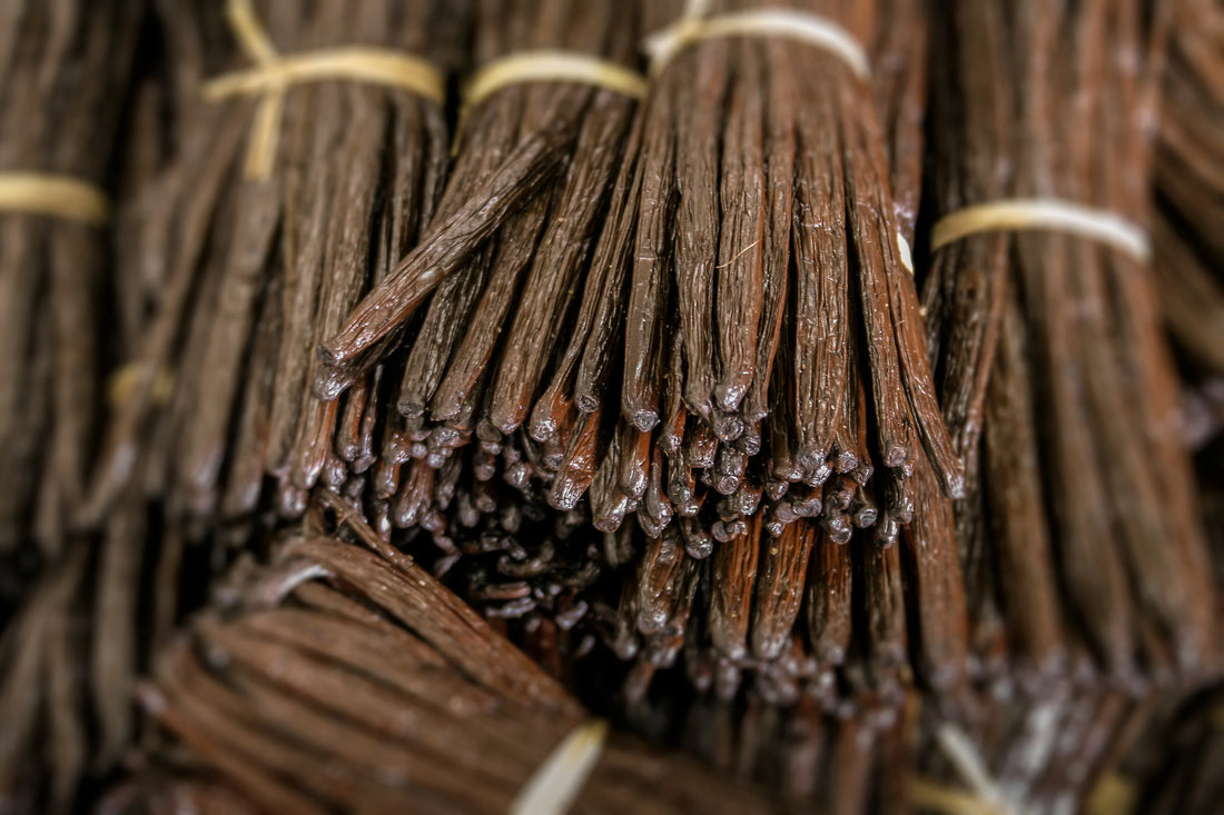 everything you need to know about vanilla essential oil