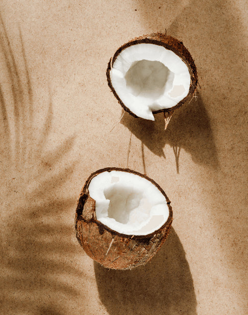 everything you need to know about coconut oil