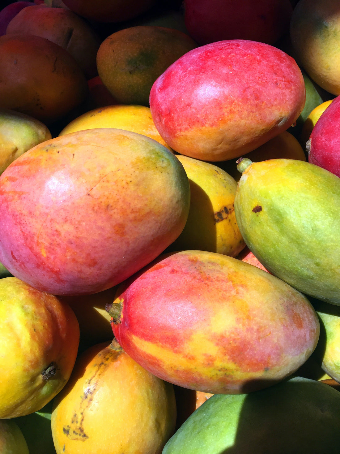 everything you need to know about mango essential oi