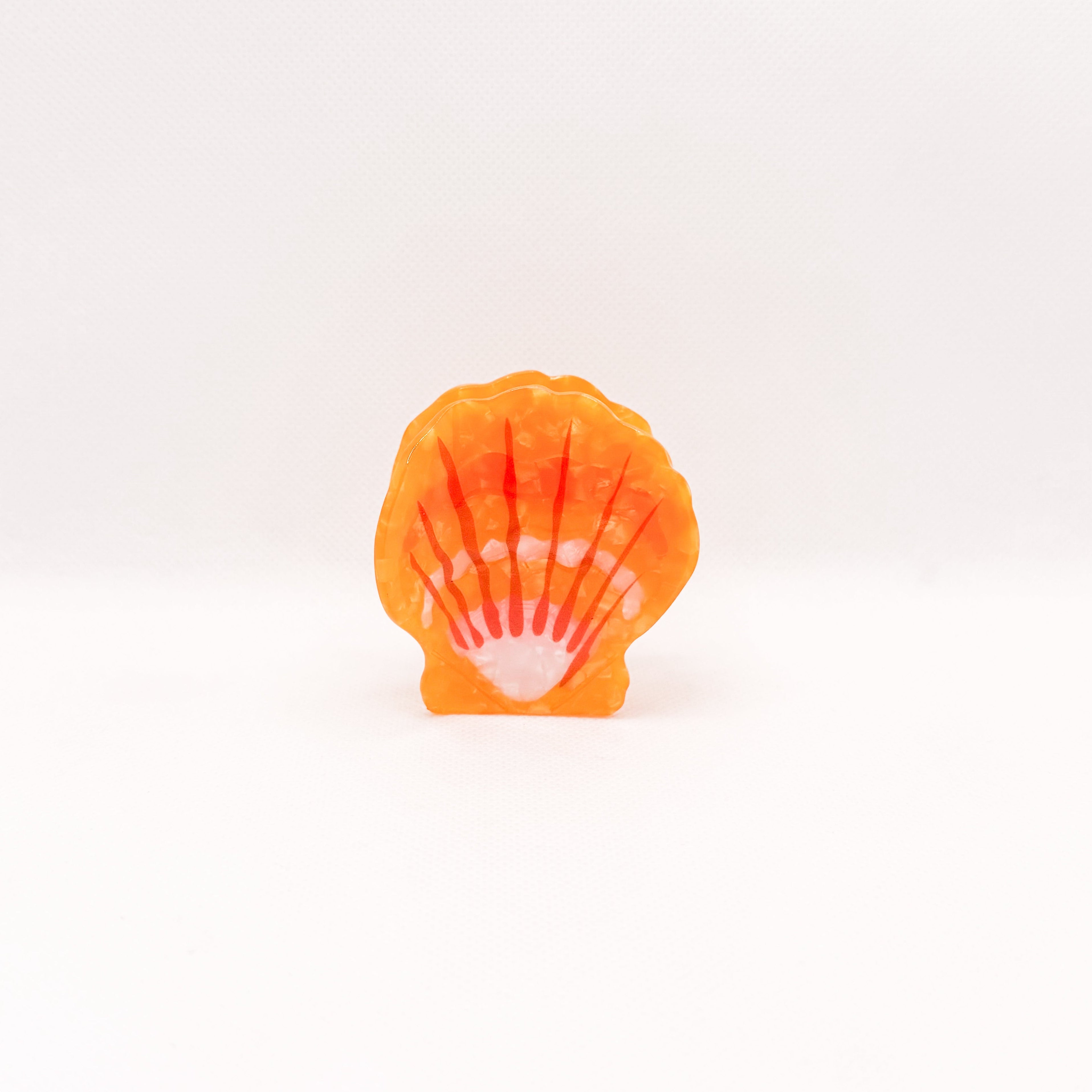 small sunrise shell hair claw