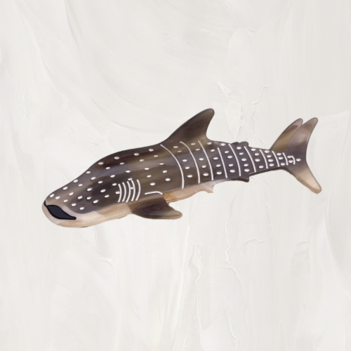 friendly whale shark hair clip