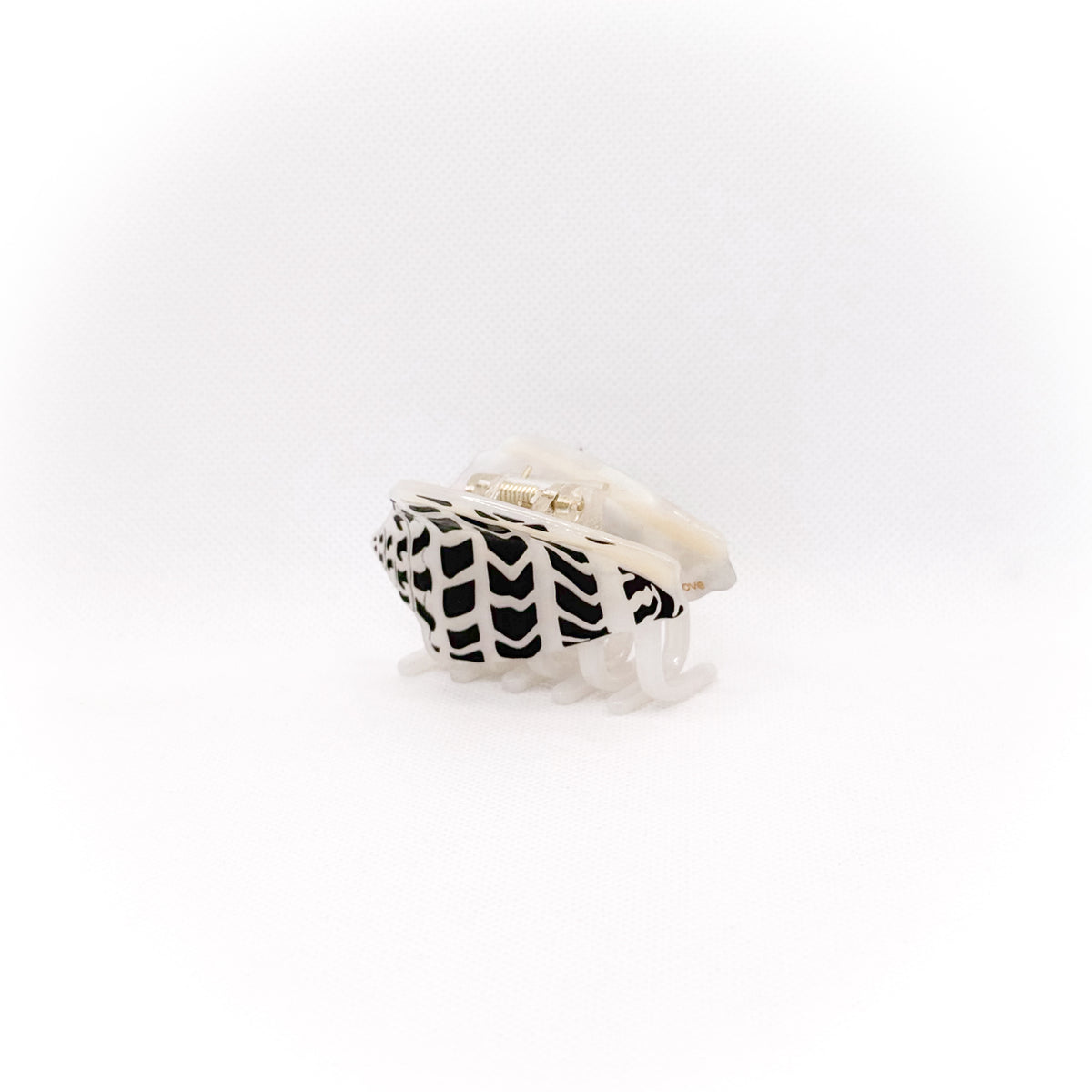 small hebrew cone shell hair claw