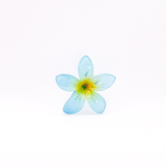 aqua midi plumeria hair clip
