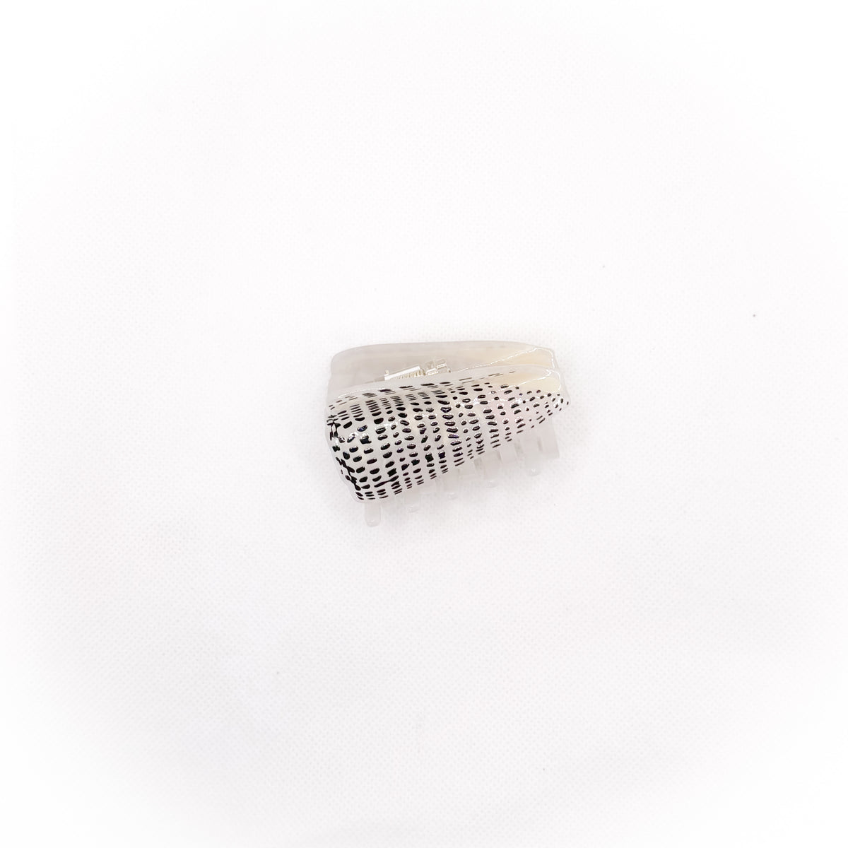 small flea cone shell hair claw