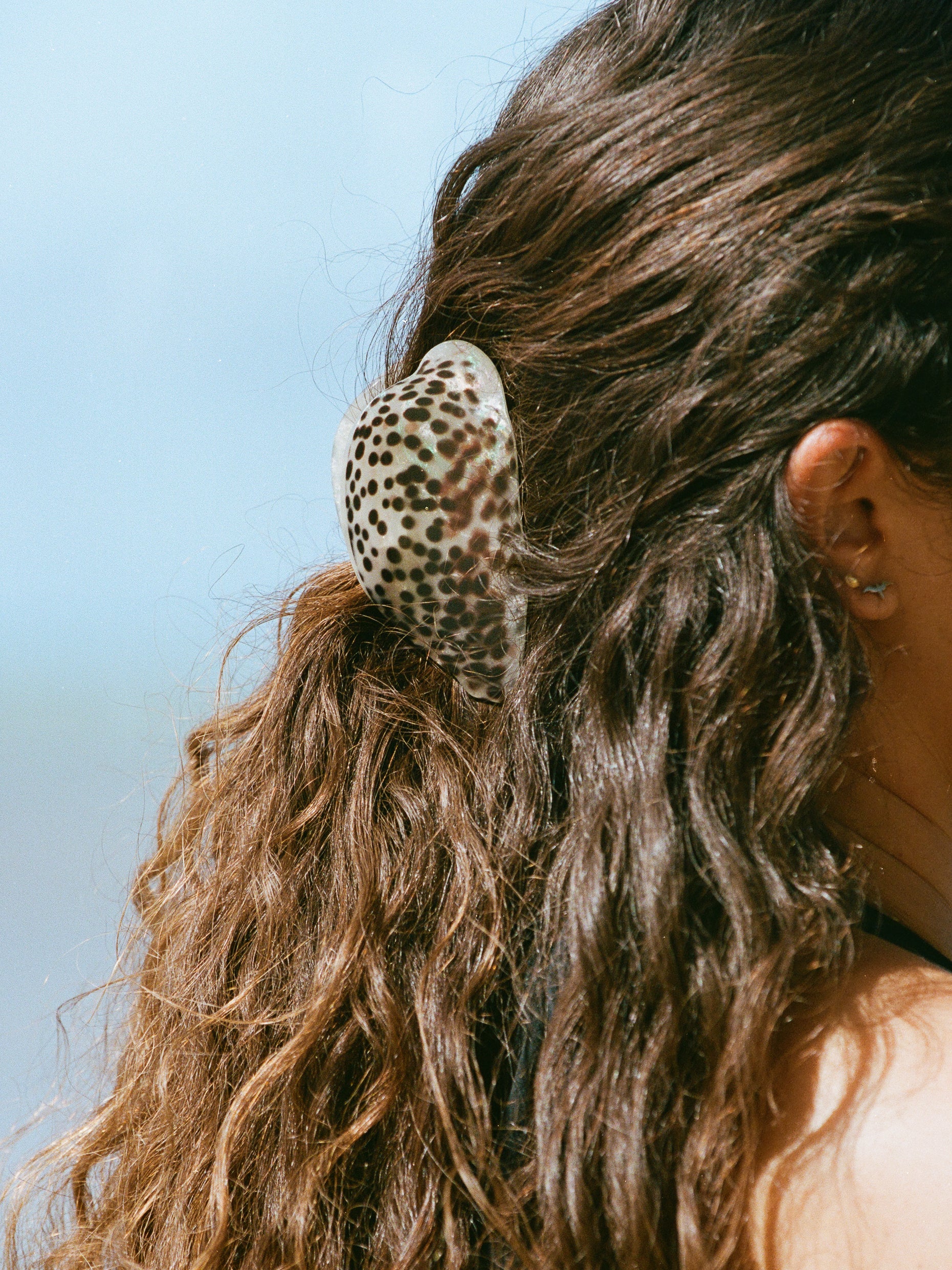 medium “leho” cowry shell hair claw