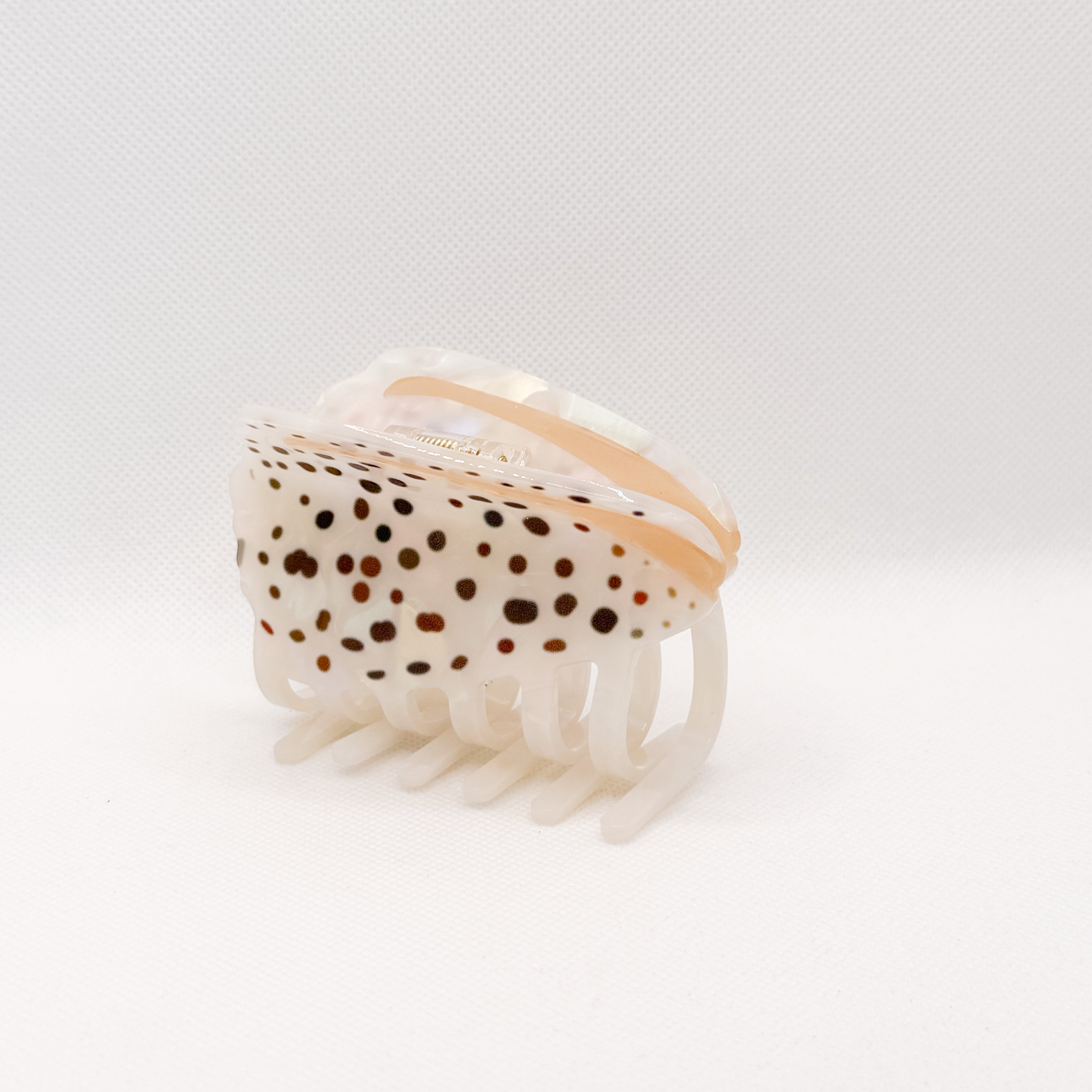 ivory cone shell hair claw