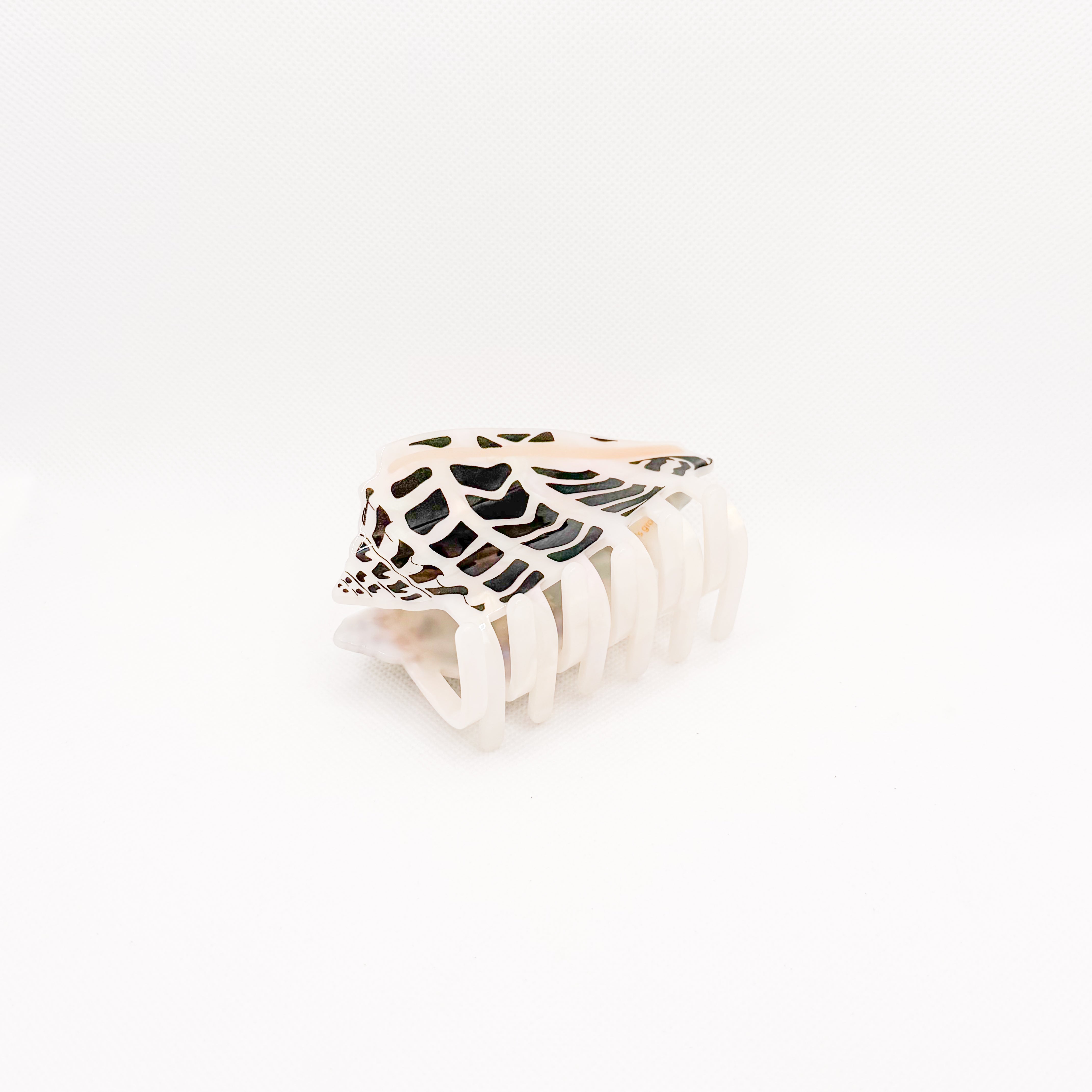 *new pre-order* hebrew cone shell hair claw