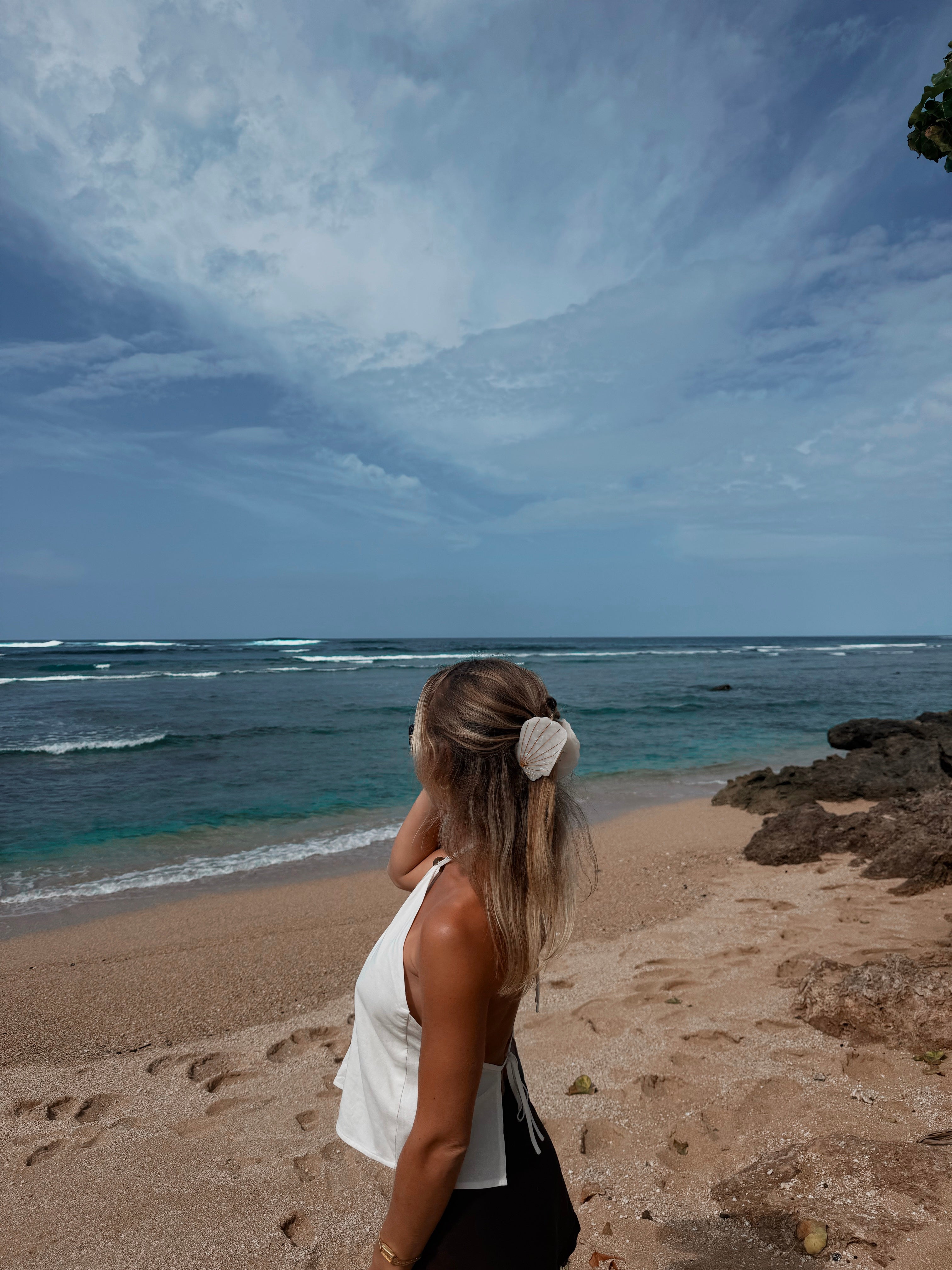 mother of pearl sea shell hair claw