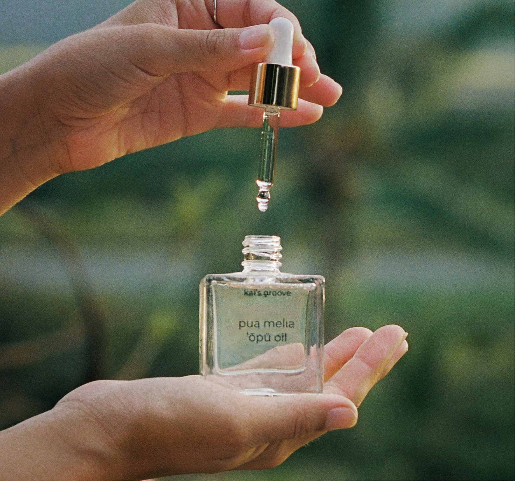 pua melia ʻōpū oil (plumeria pregnancy belly oil)