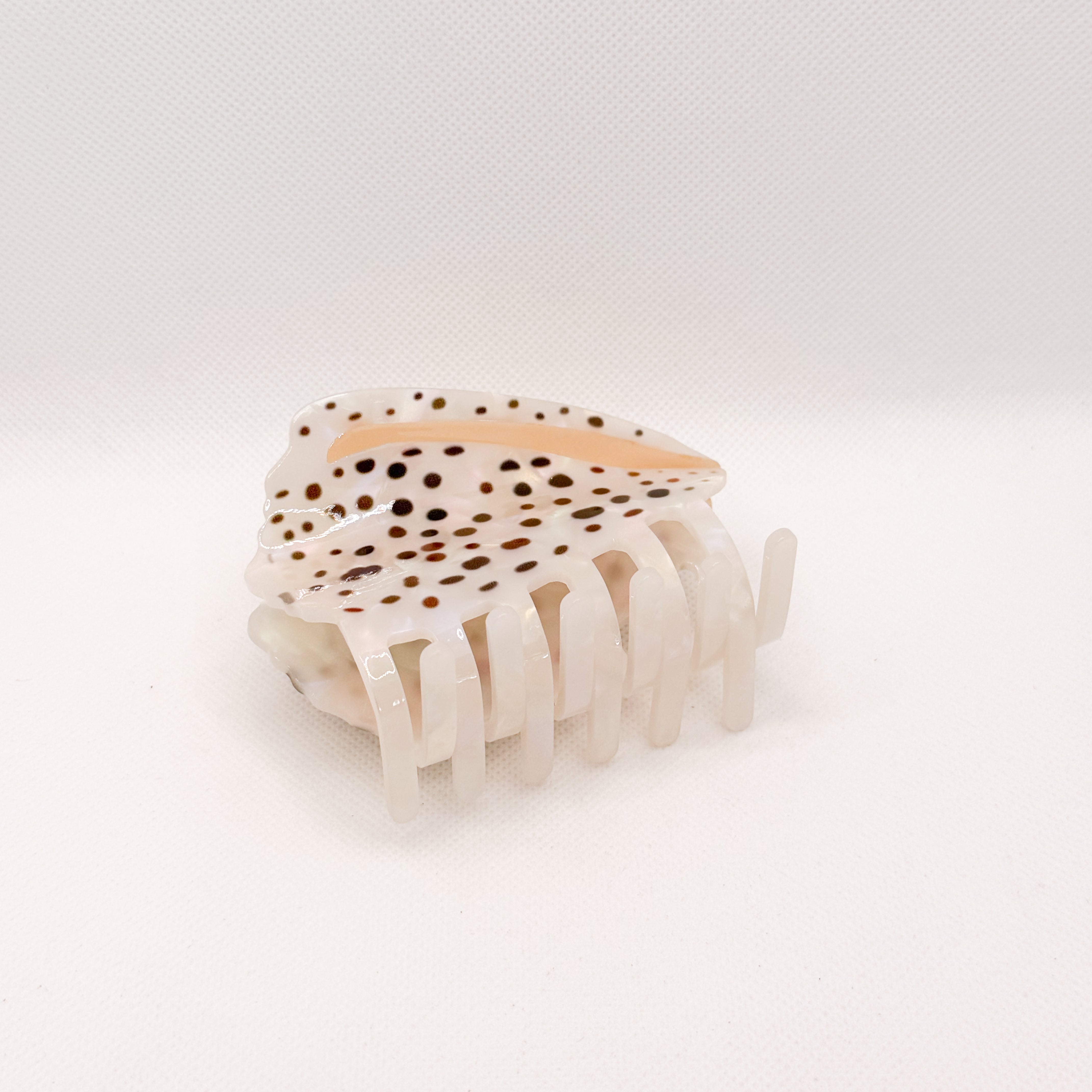 ivory cone shell hair claw