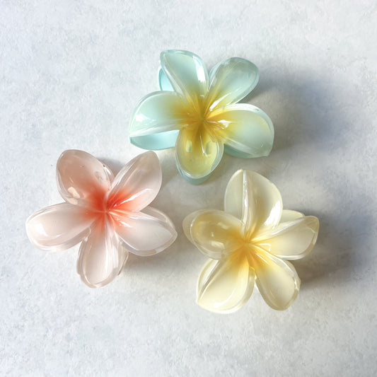 blissful plumeria hair claw set