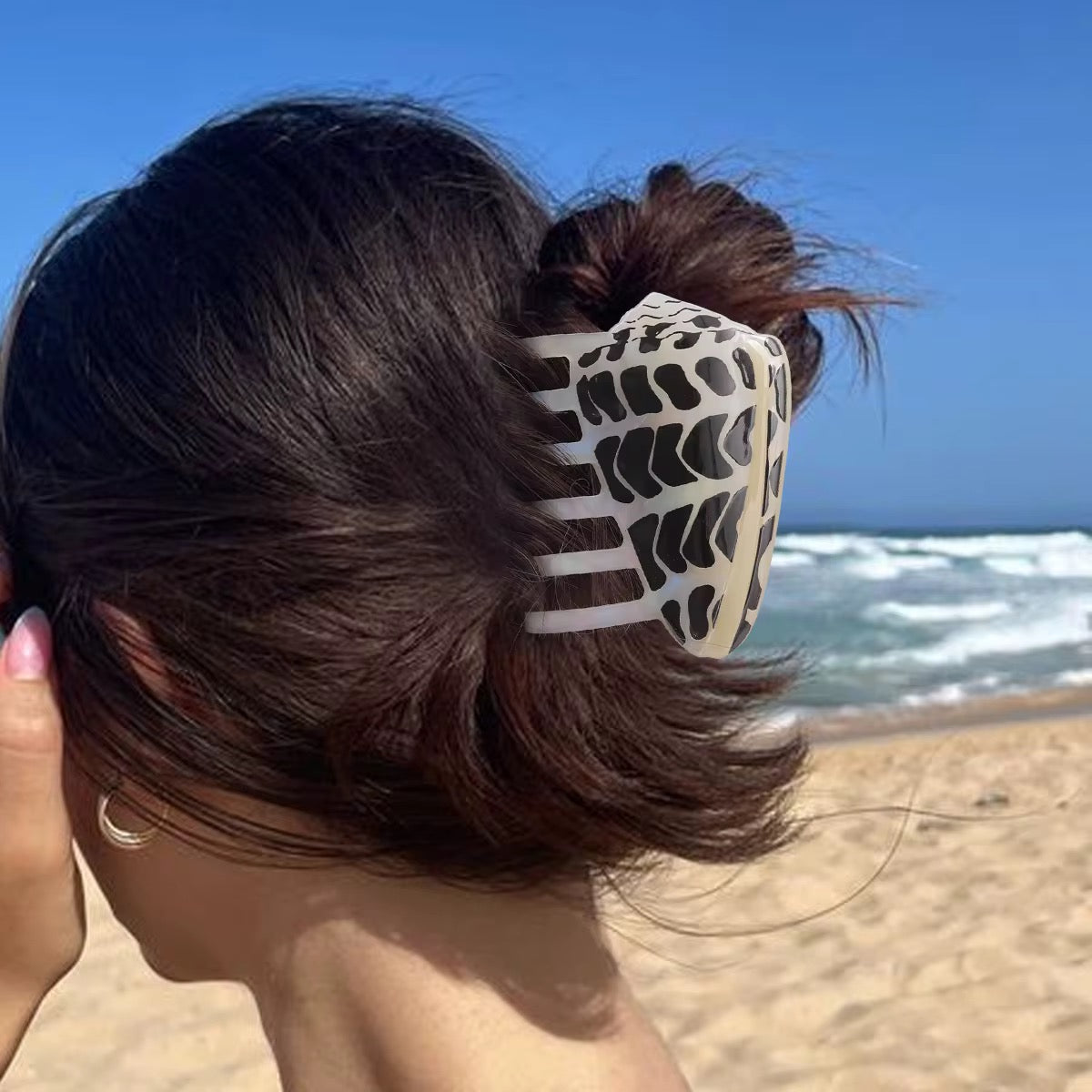 hebrew cone shell hair claw