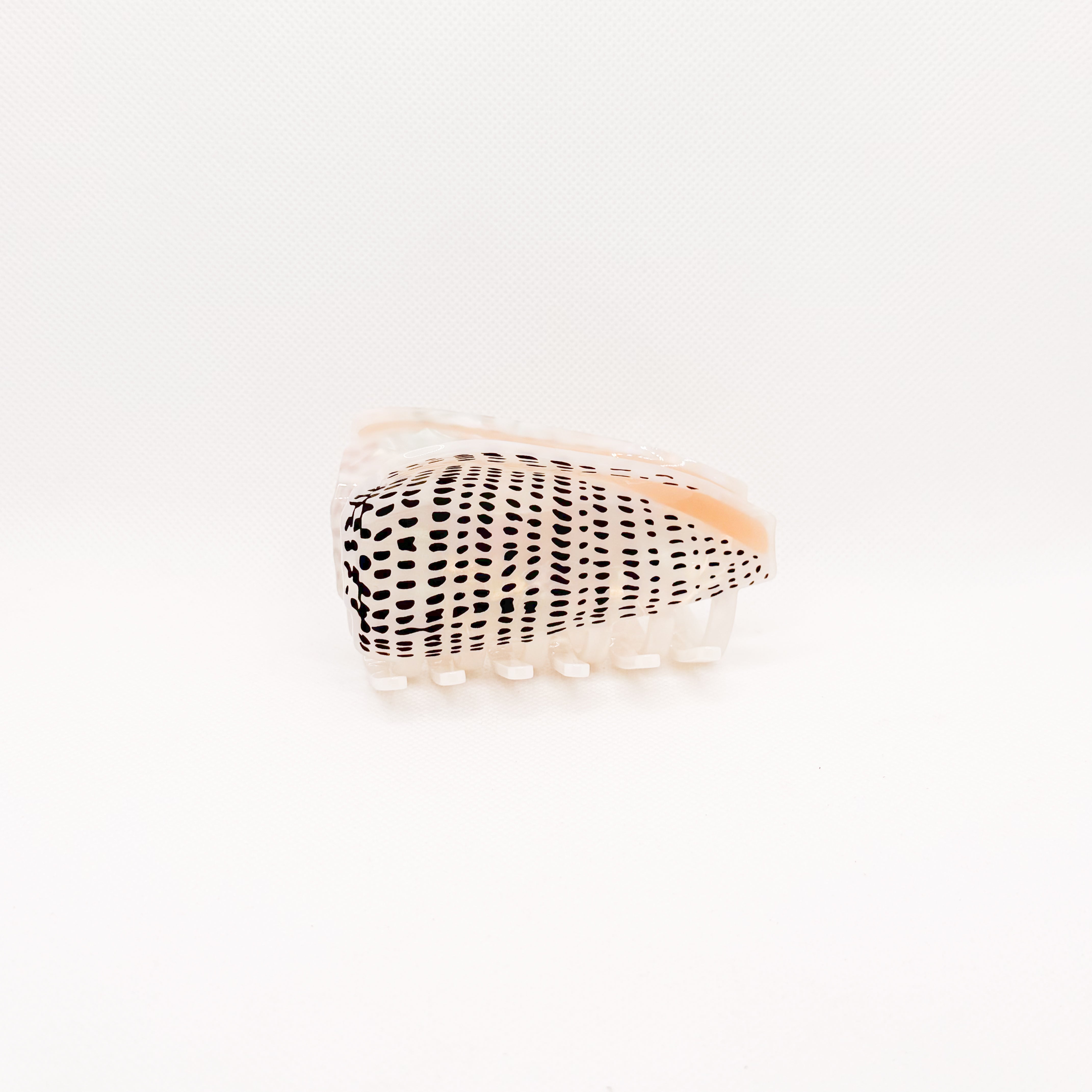 *new pre-order* leopard cone shell hair claw